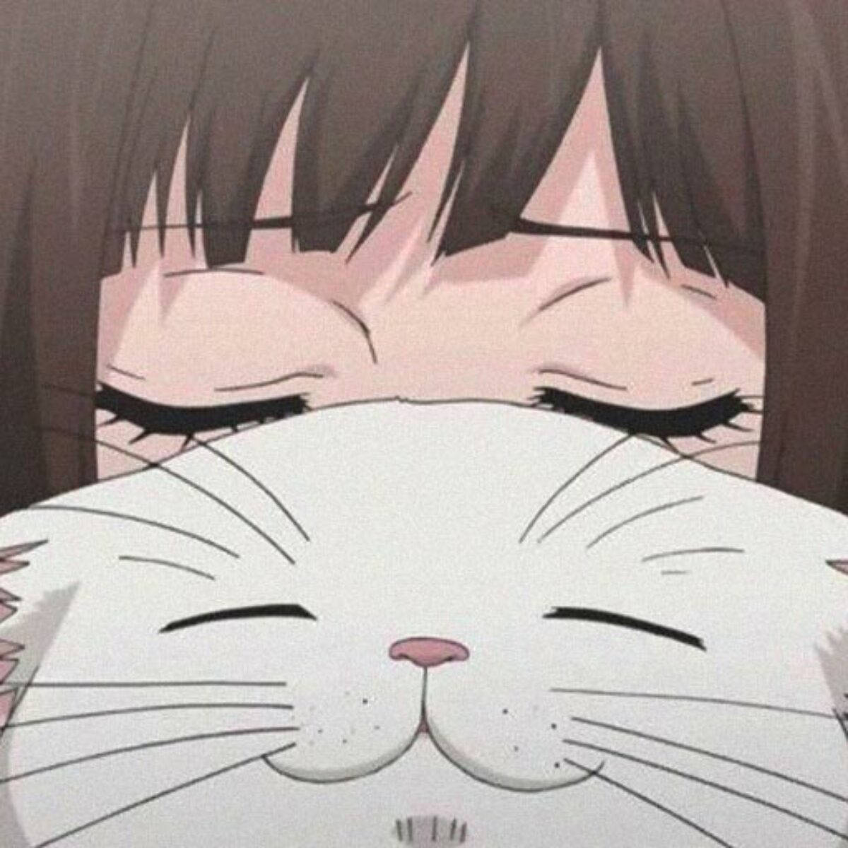 Söpö profiilikuva kissasta ja anime-tytöstä Taustakuvat
