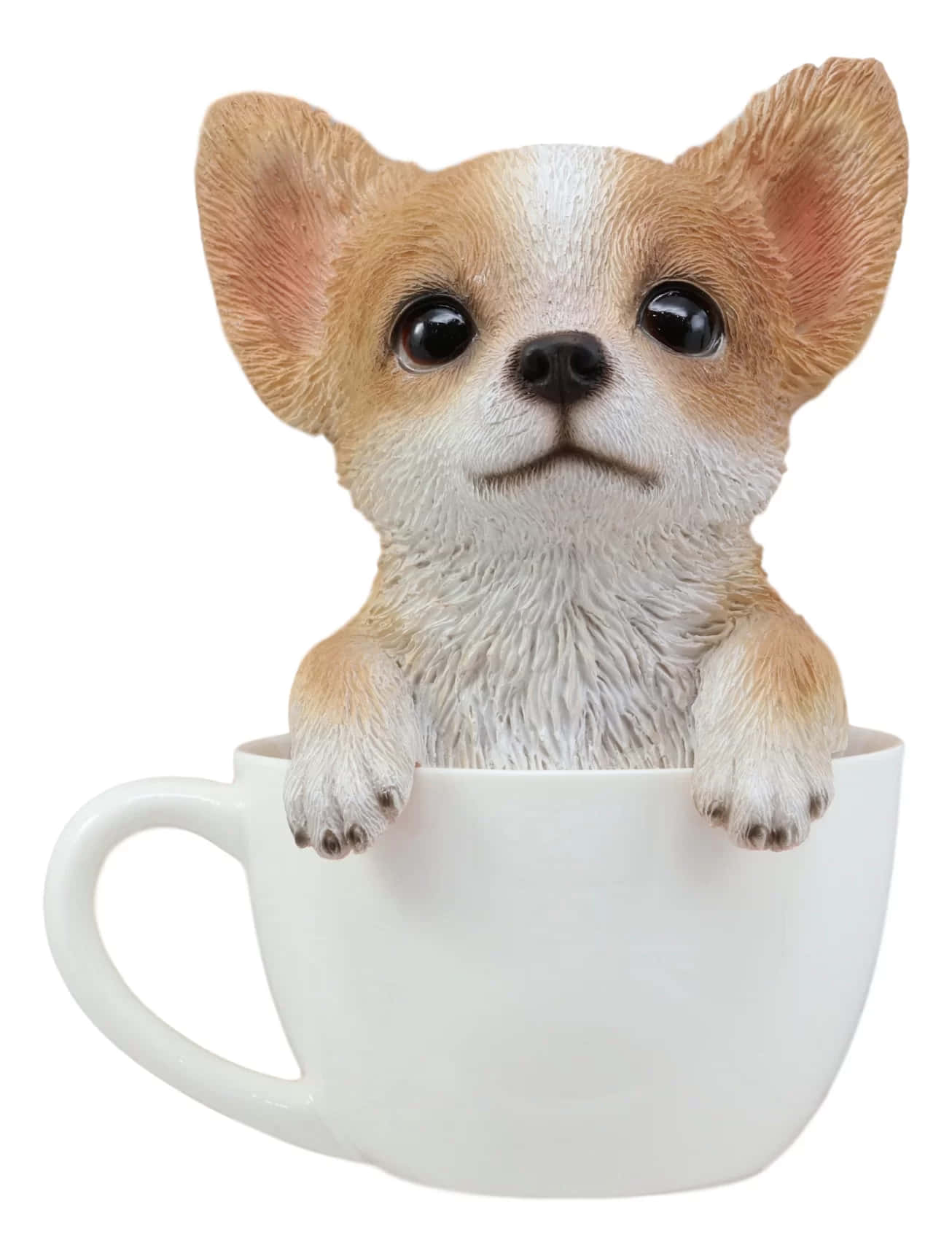 "Söpö teekuppikokoinen chihuahua" Taustakuvat