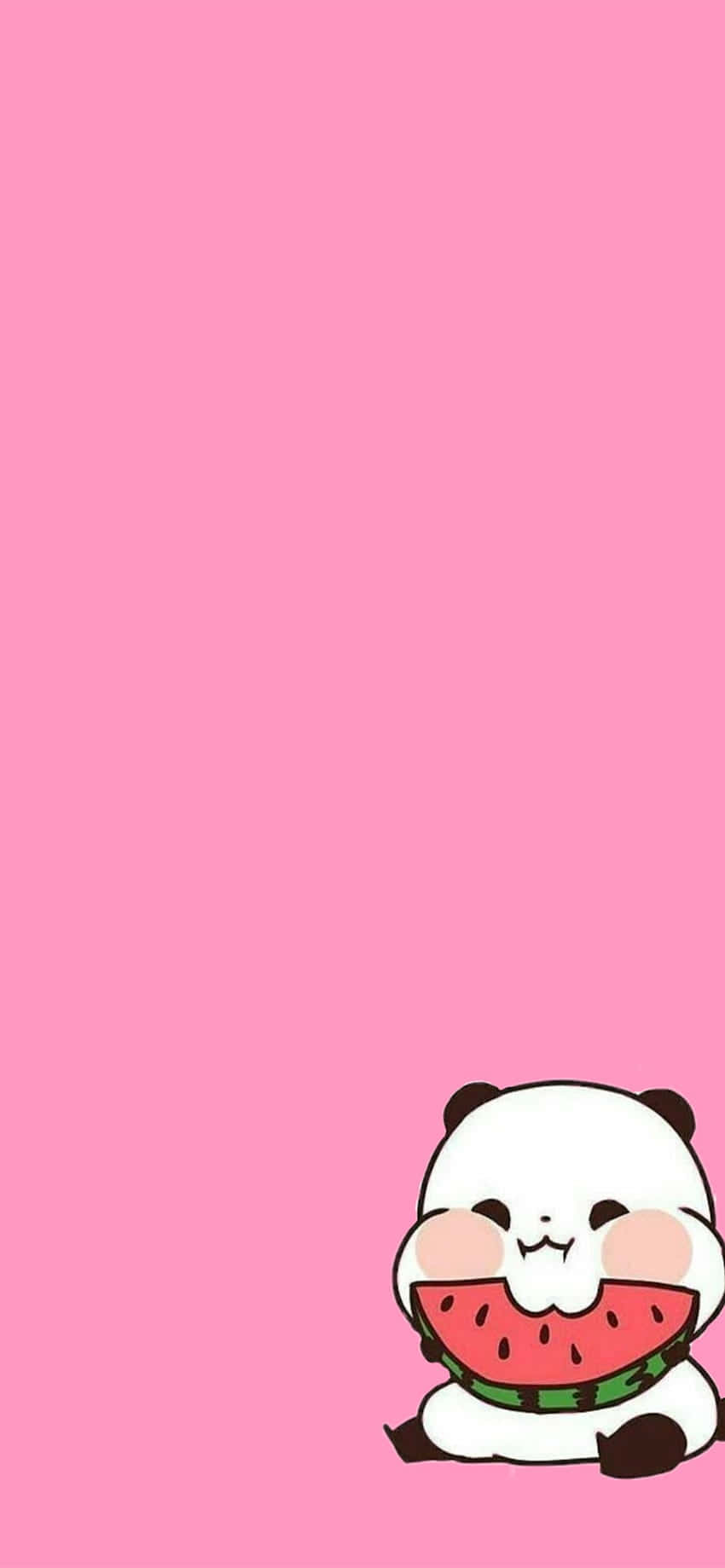 Söpö tyttömäinen panda vaaleanpunainen vesimeloni Taustakuvat