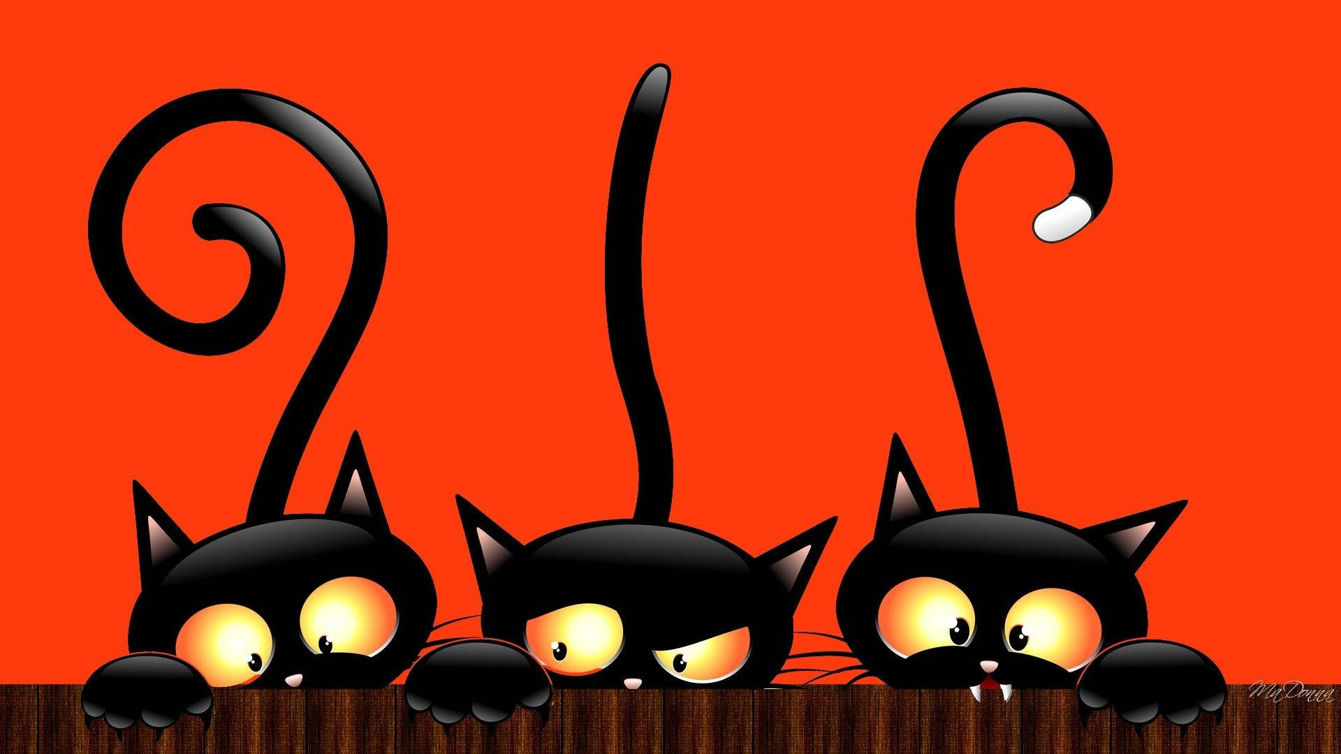Söpöt Halloween-mustat kissat Taustakuvat