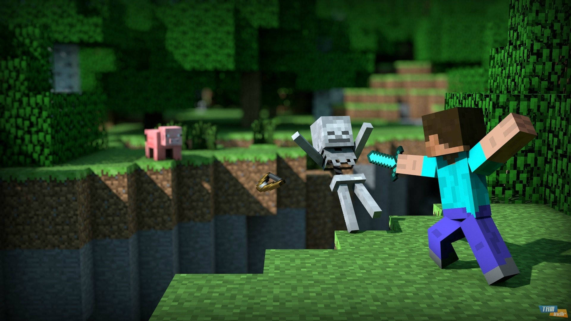 Steve taistelee luurankoa vastaan Minecraft HD Taustakuvat