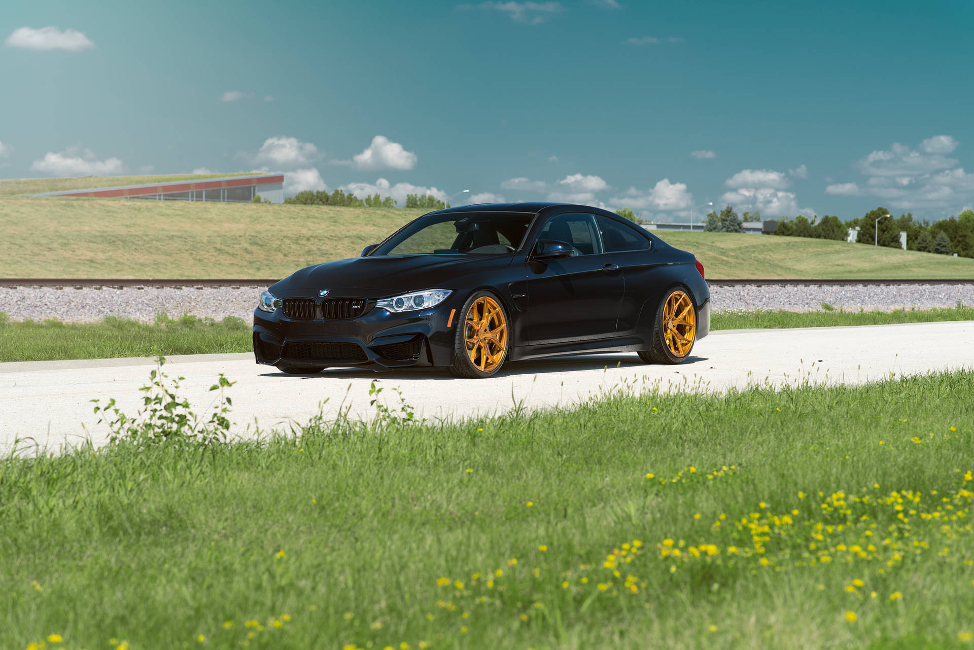 Musta BMW M4 F82 -auto tiellä ruohon kanssa -taustakuva