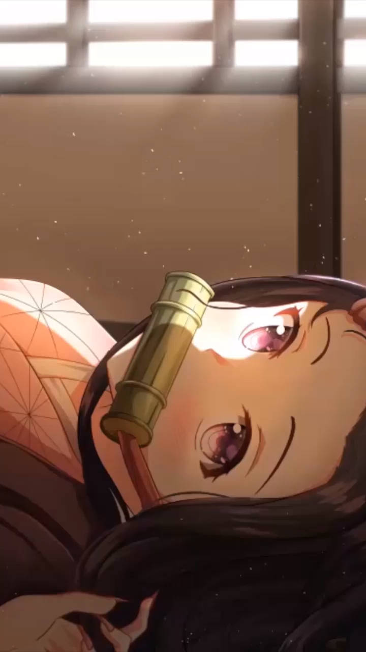 Suloinen anime-profiilikuva Nezuko Kamado Taustakuvat