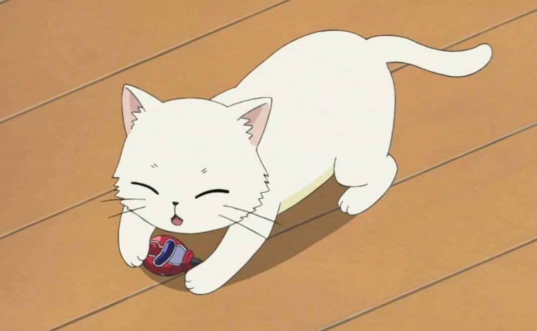 Suloinen animekissa lähtee seikkailulle Taustakuvat