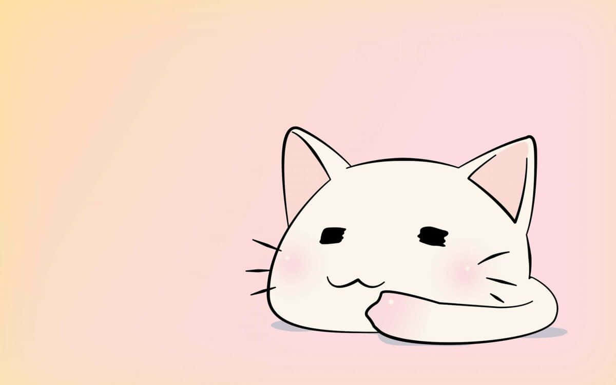 suloinen animekissa lemmikkikaupassa Taustakuvat