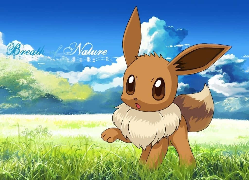Suloinen Eevee ruohokentällä Pokemon Taustakuvat
