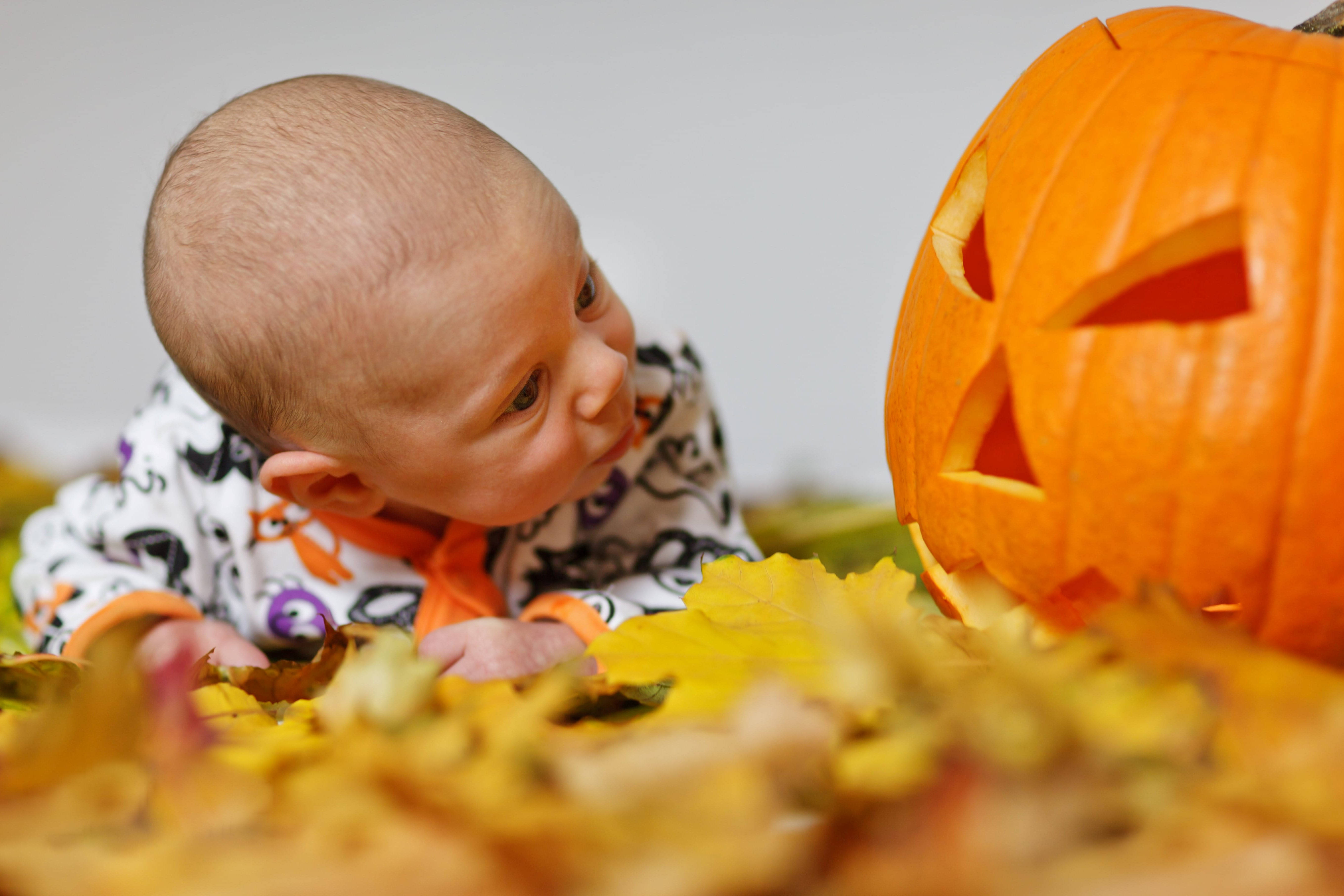 Suloinen Halloween-vauva kurkistaa kurpitsaa Taustakuvat