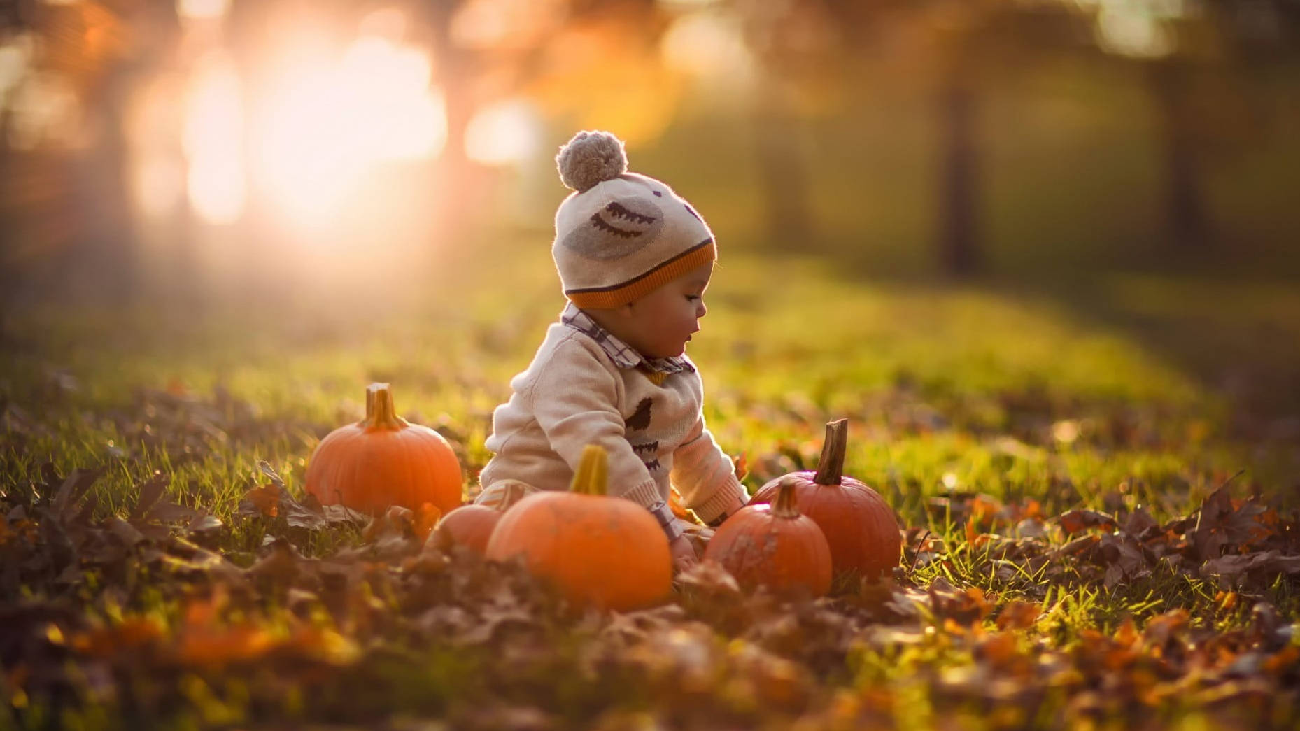Suloinen Halloween-vauva puistossa Taustakuvat