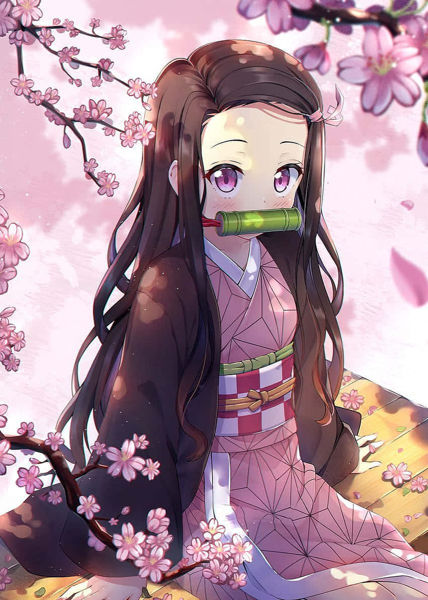 Suloinen Nezuko Kamado Sakura-estetiikka Taustakuvat