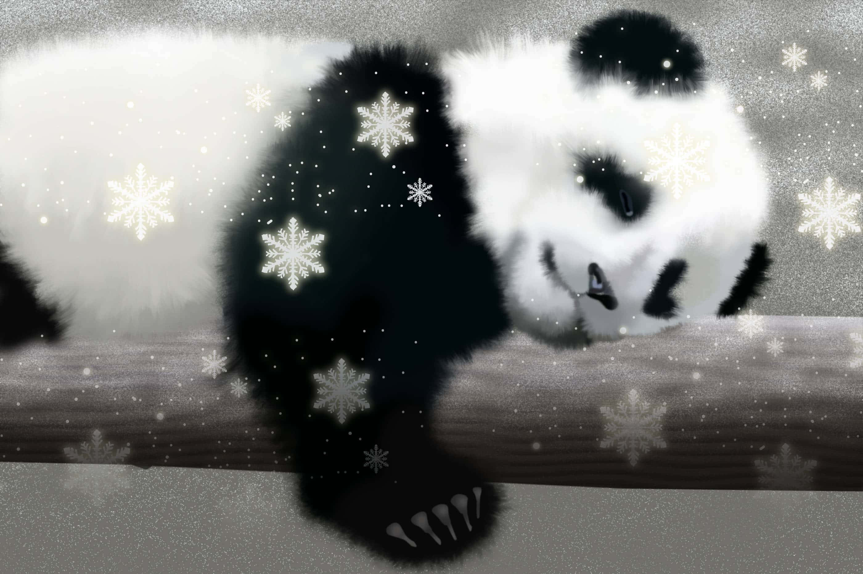 Suloinen panda käpertyneenä syleilyyn Taustakuvat