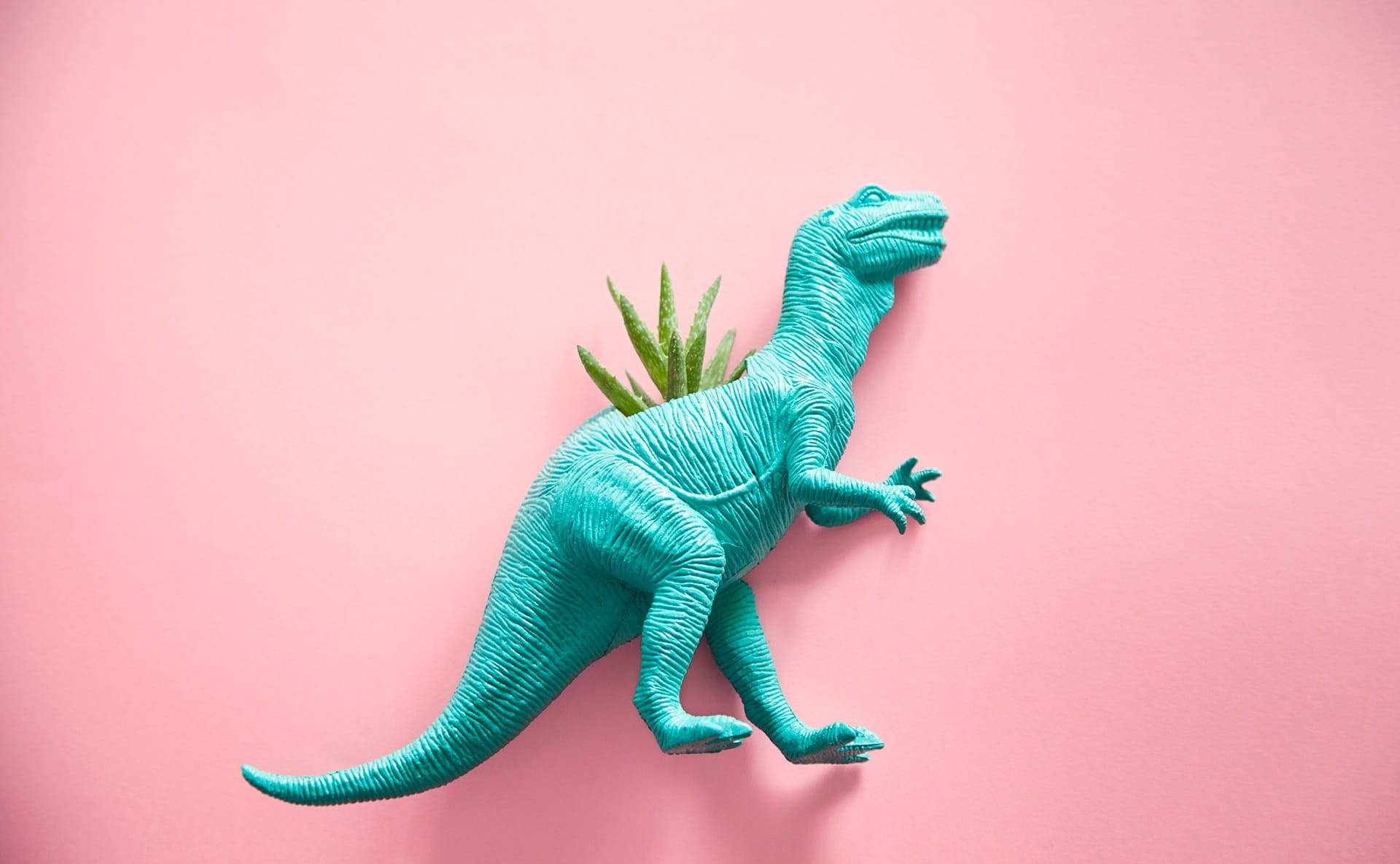 Suloinen vaaleanpunainen dinosaurus T-rex kasvi Taustakuvat