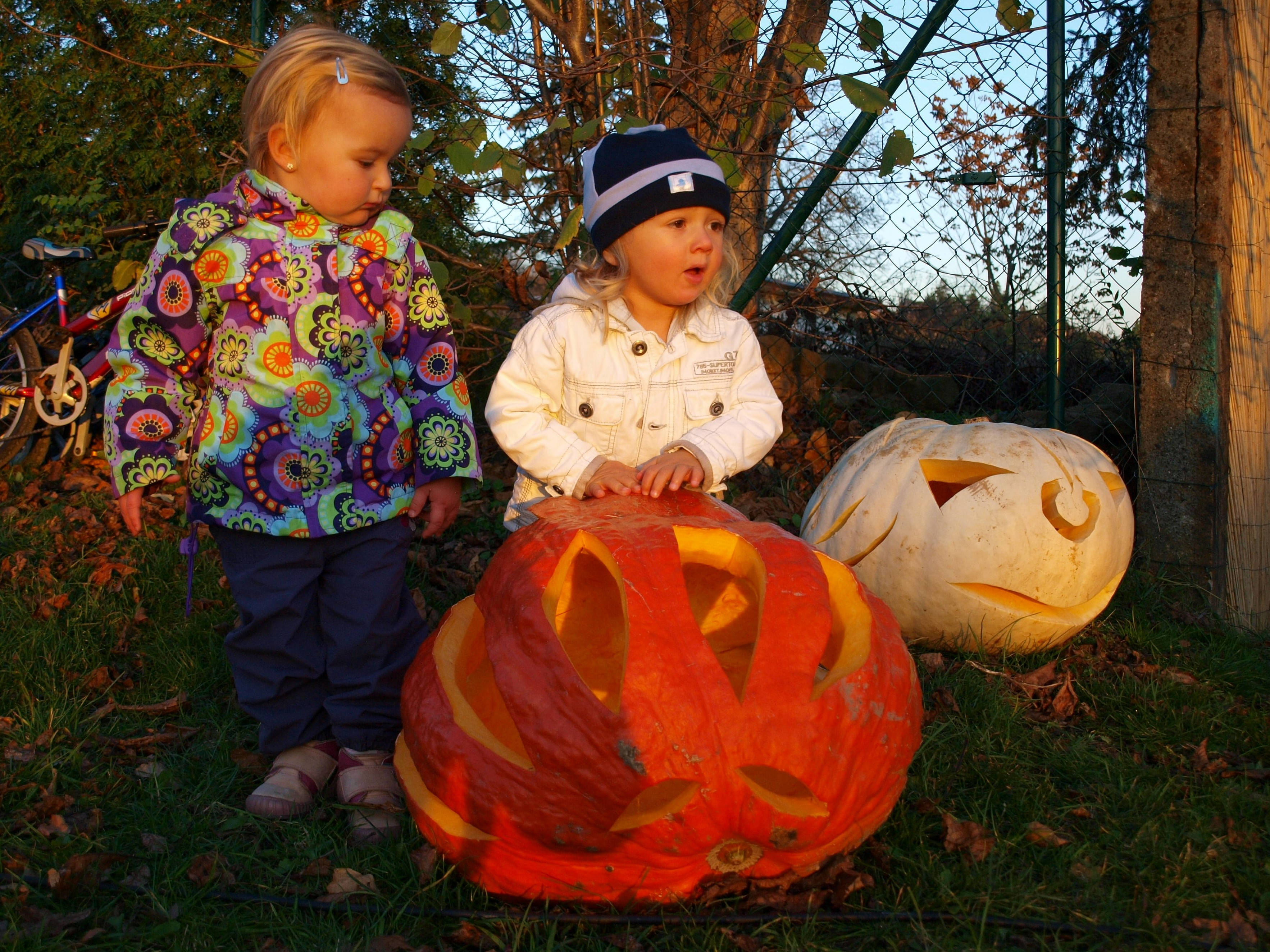 Suloiset Halloween-taaperot Taustakuvat