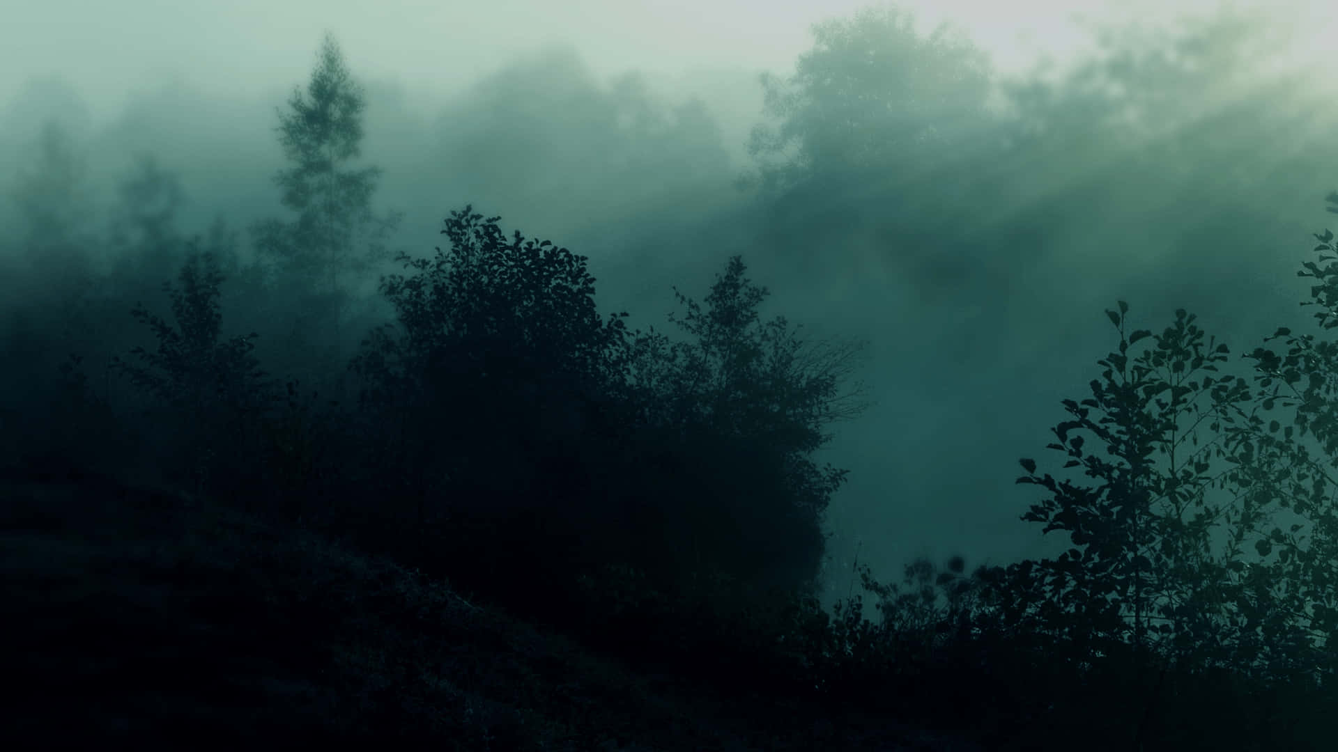 sumu taustakuvat HD Taustakuvat