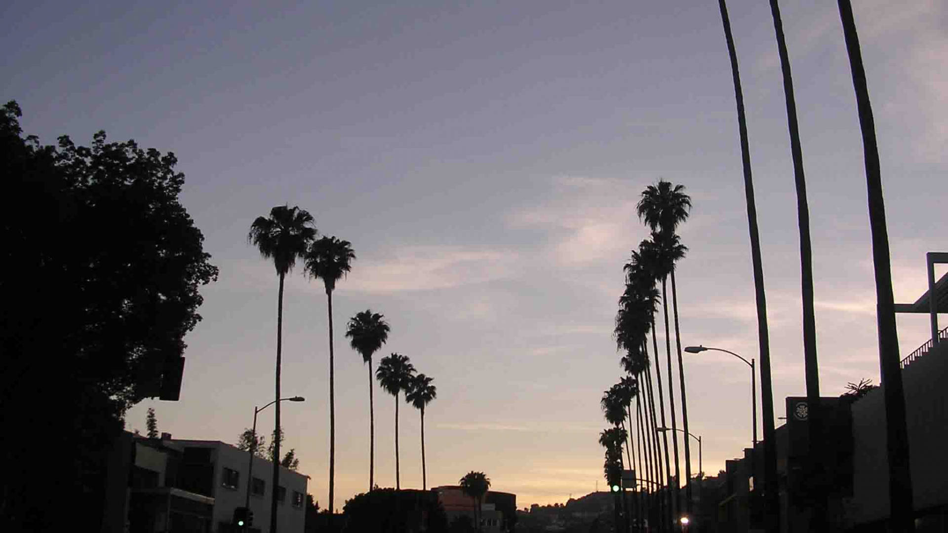 Sunset Boulevard Siluetti Taustakuvat