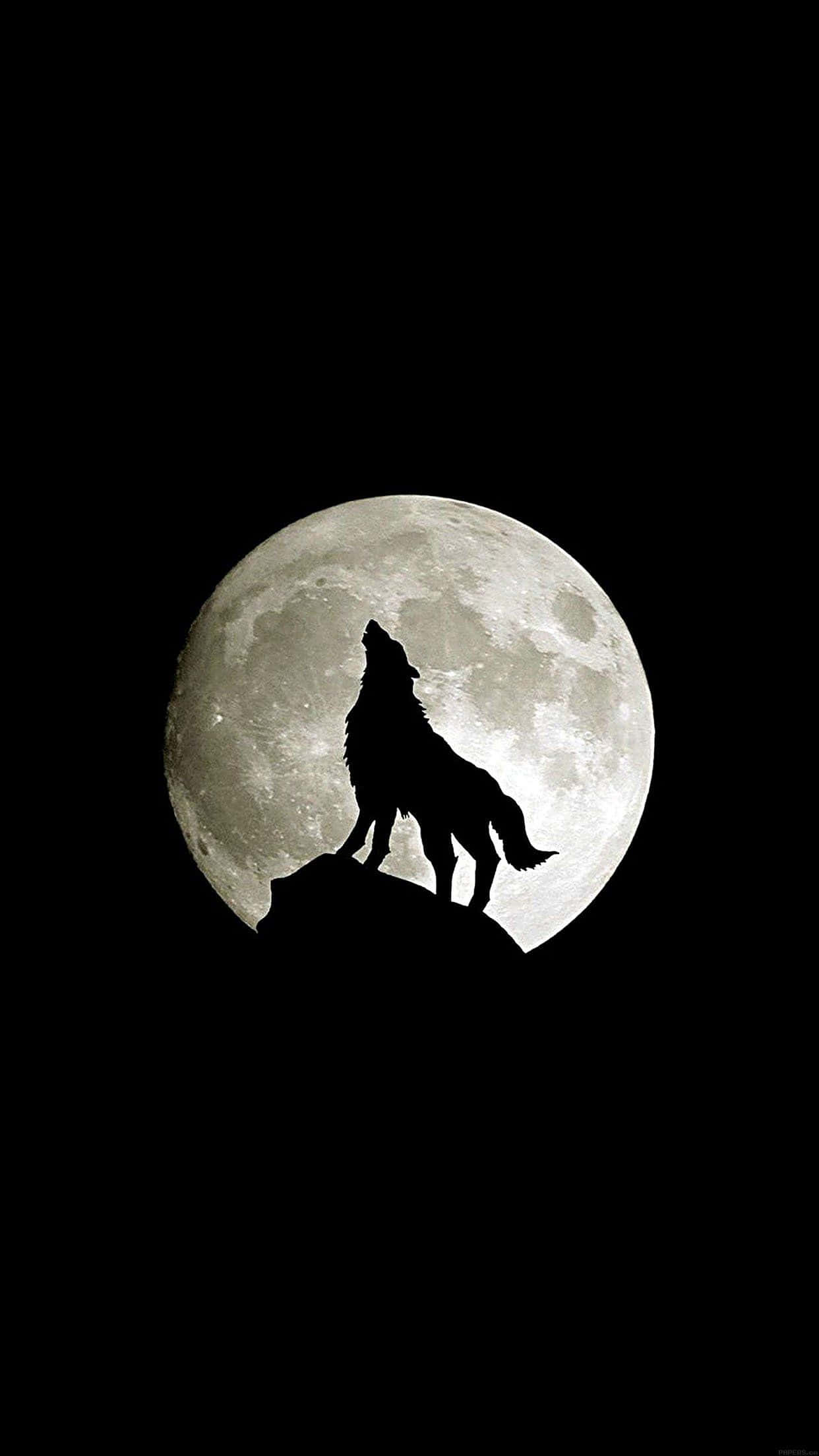 Surffaa erämaan halki Wolf iPhone -taustakuvalla Taustakuvat