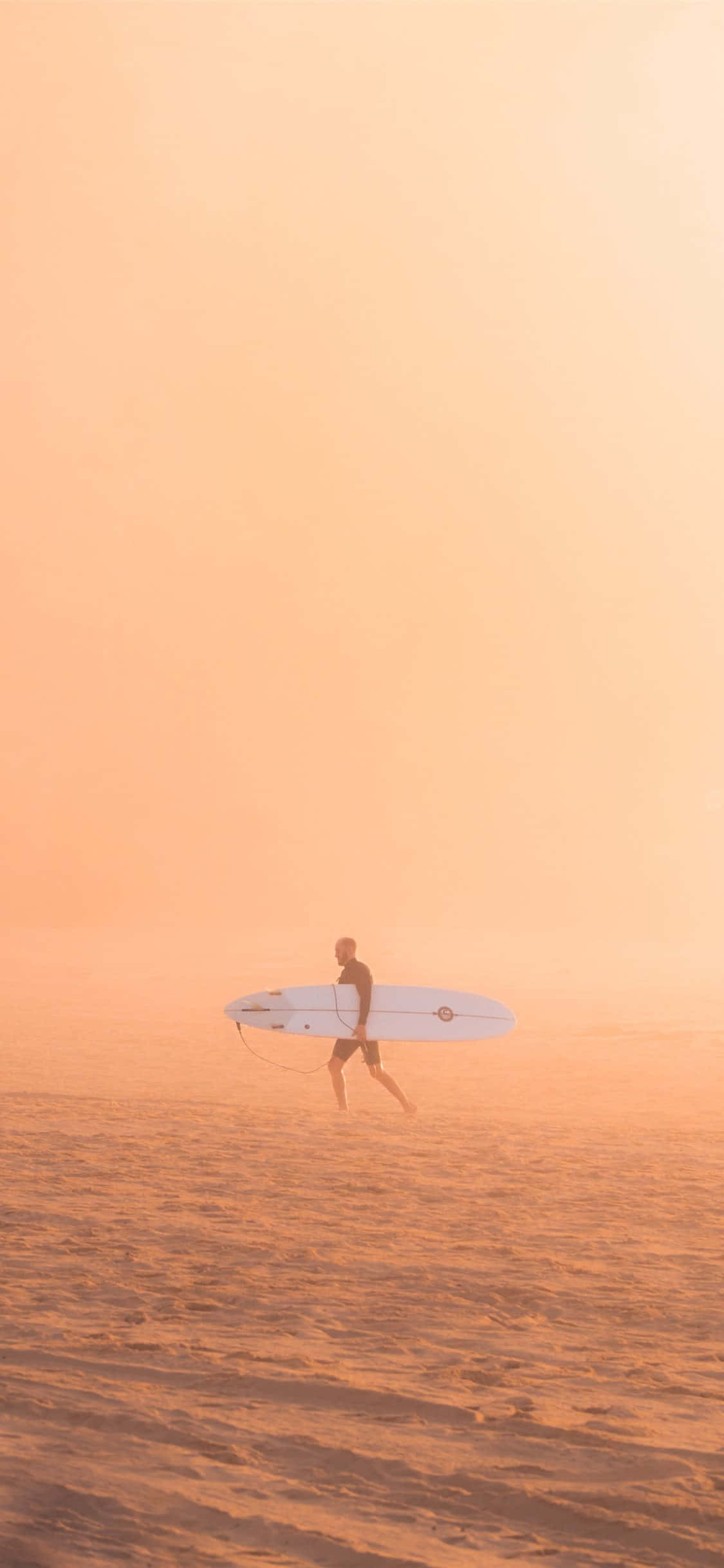 Surffilauta Oranssi Auringonlasku Taivas Taustakuvat
