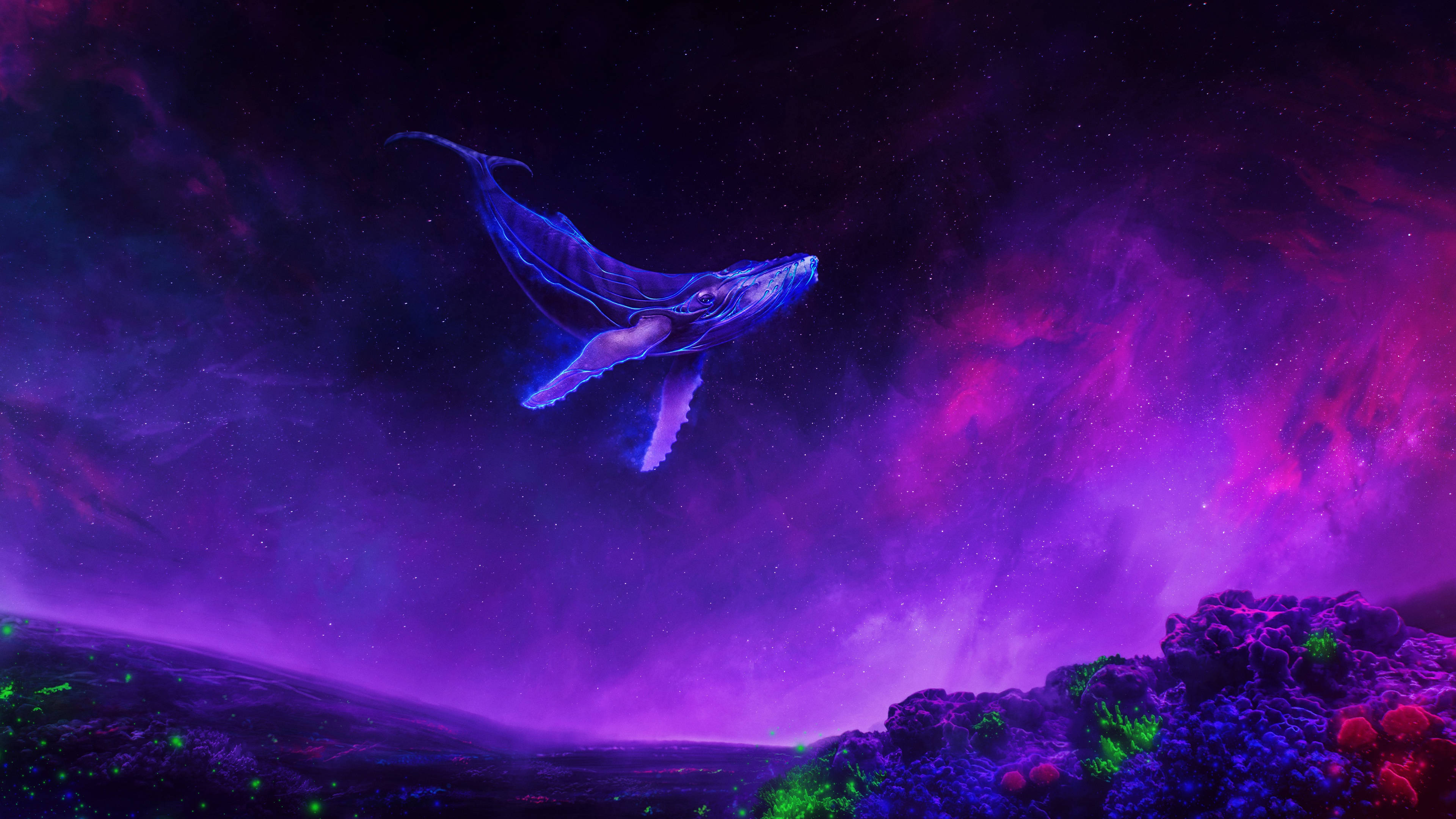 Surrealistinen valas leijuu 4K purppurassa Taustakuvat