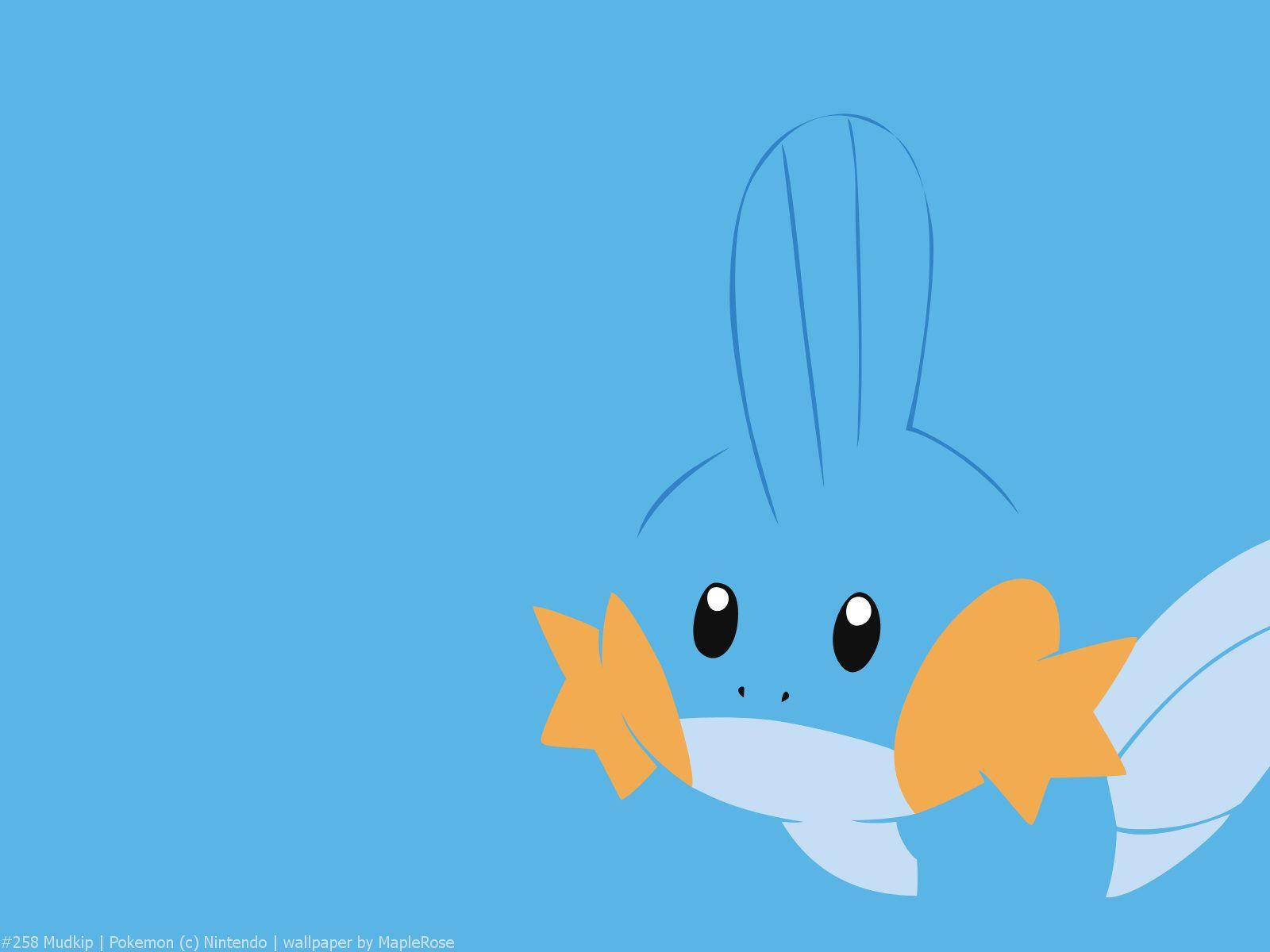 Surullinen Mudkip-taide Taustakuvat