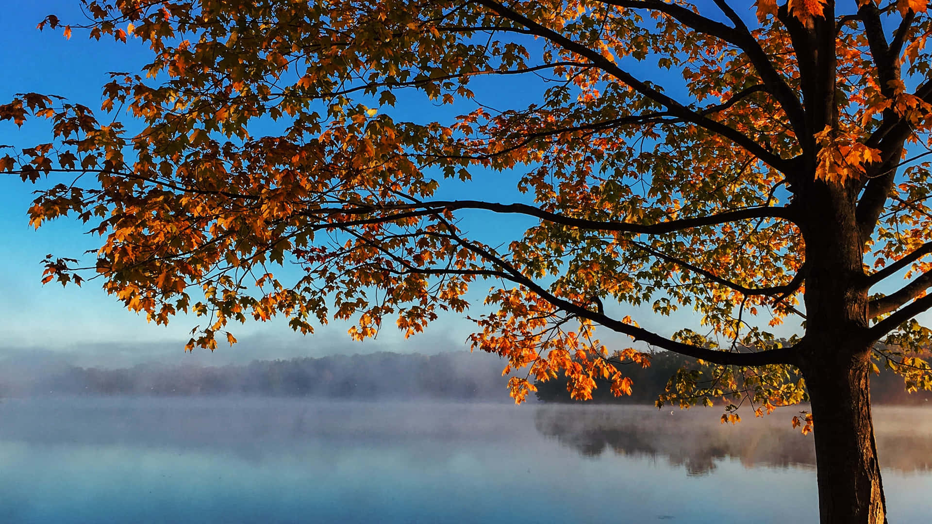 Syksy 3840 x 2160 taustakuva Taustakuvat