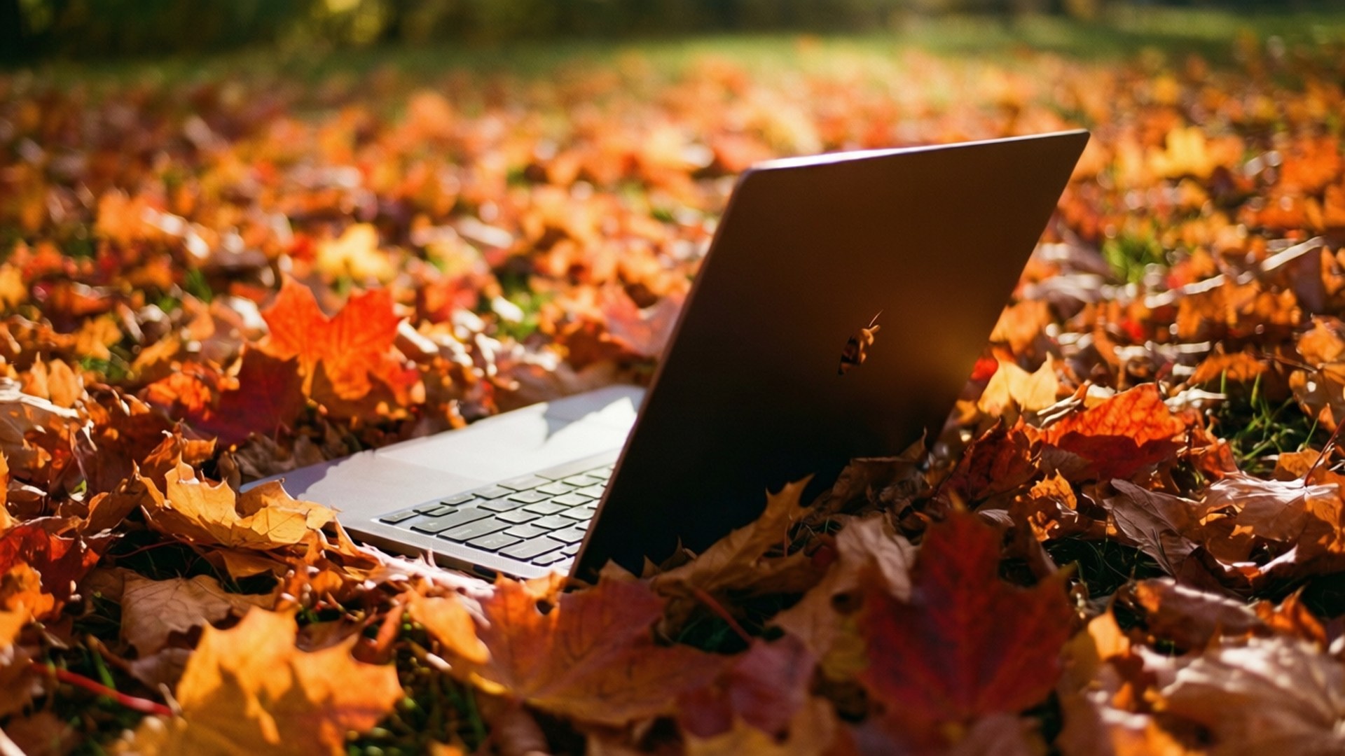 Syksyinen Chromebook-kohtaus Taustakuvat