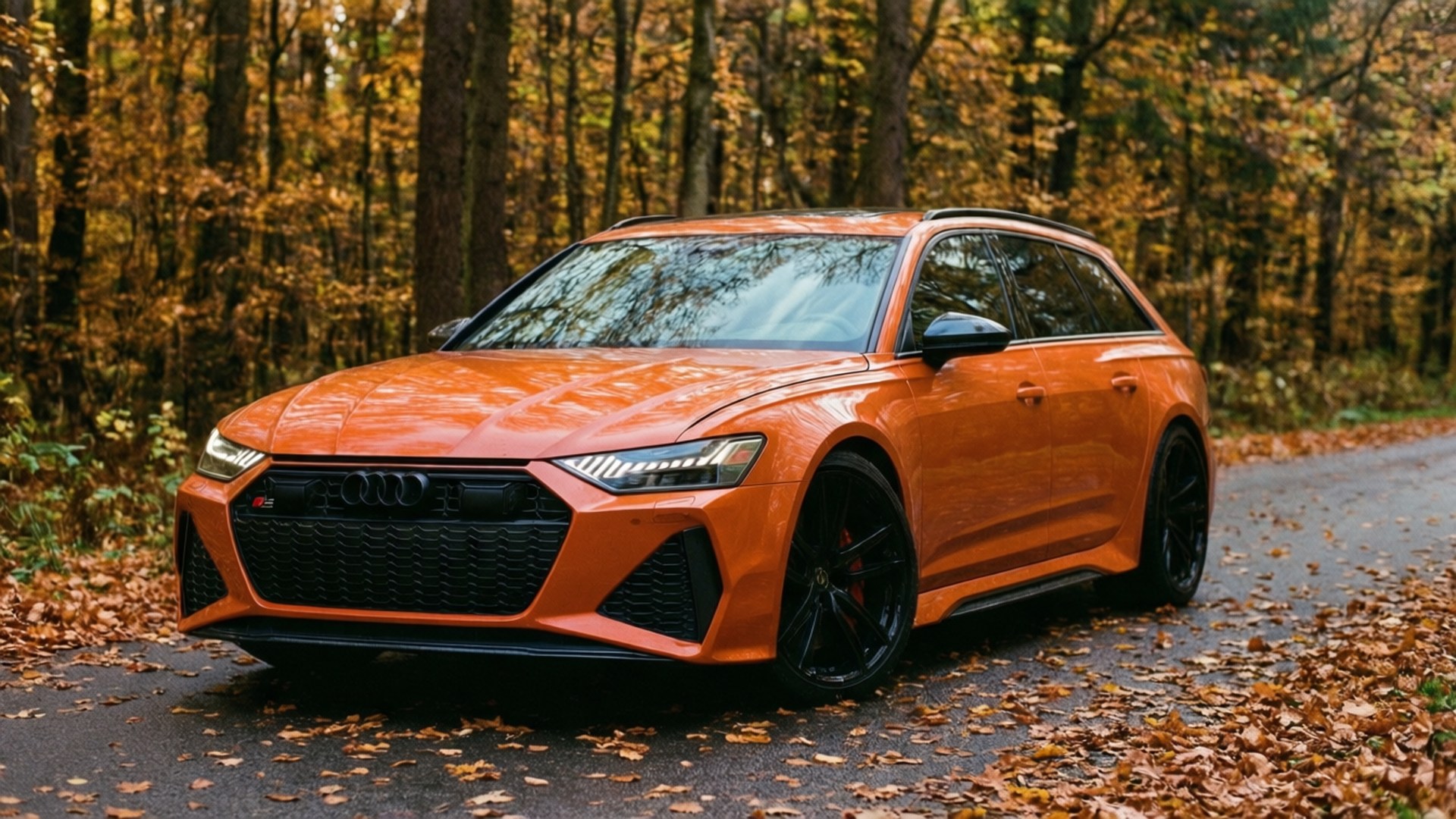 Oranssi Audi RS6 Avant syksyisellä metsätiellä putoavien lehtien keskellä. — Hienot autot GIF Taustakuvat