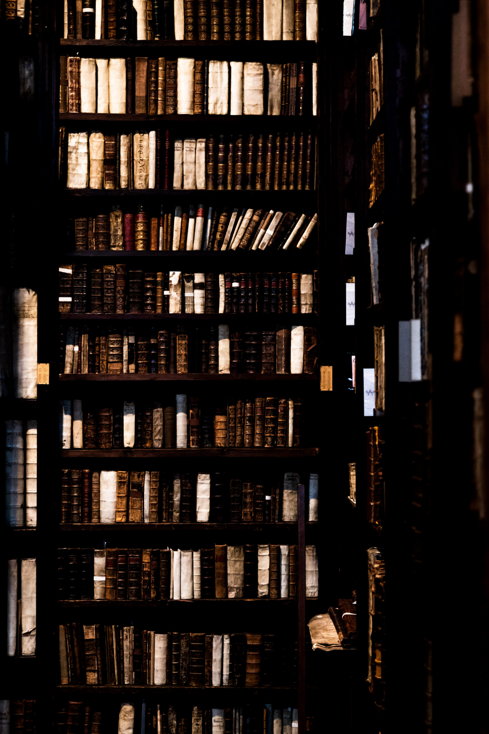 Syventyminen Dark Academian varjoihin Taustakuvat