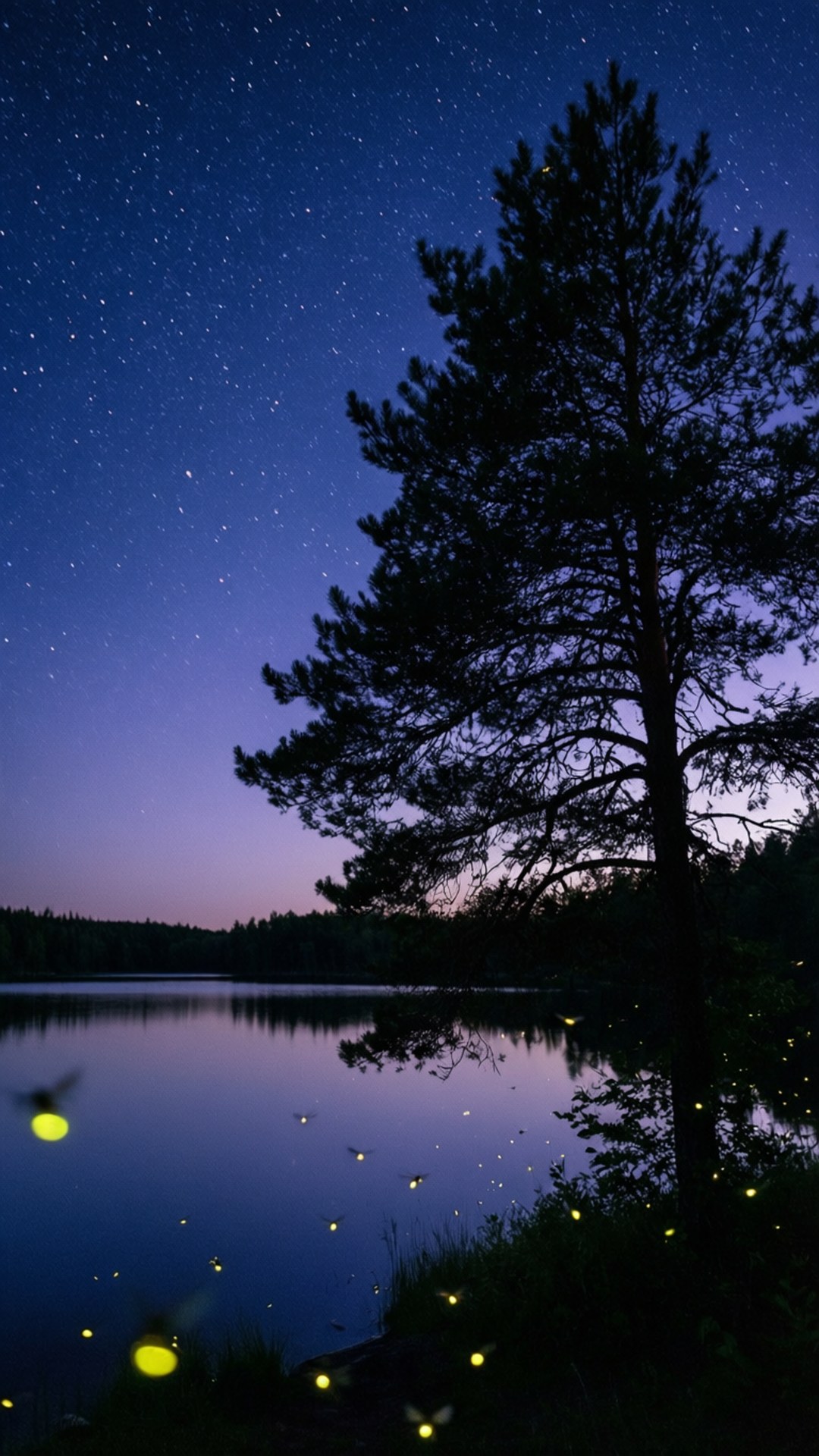 Tähtikirkas kesäyö Taustakuvat