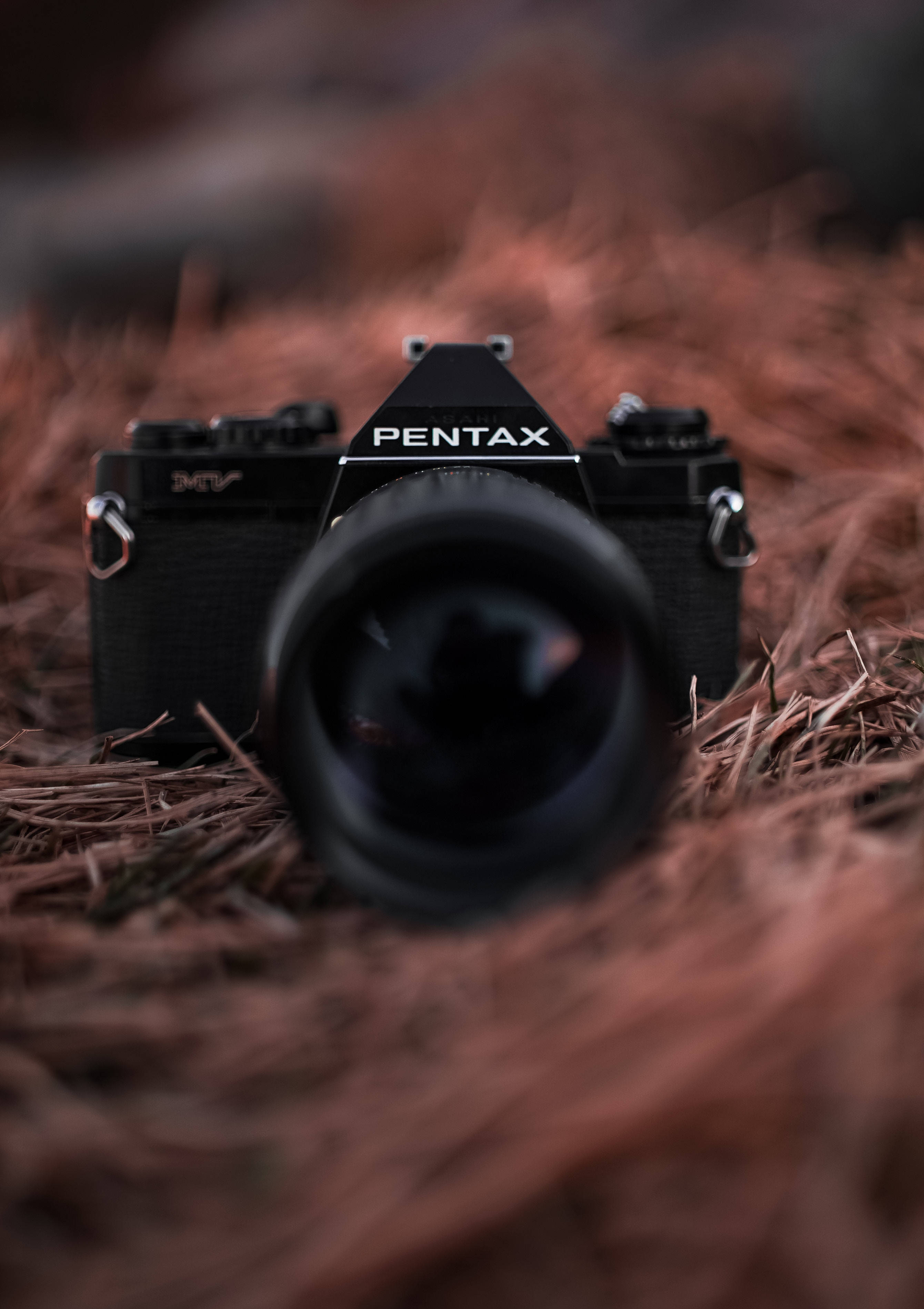 Taltioi elämän kauneutta Pentax-kameralla Taustakuvat