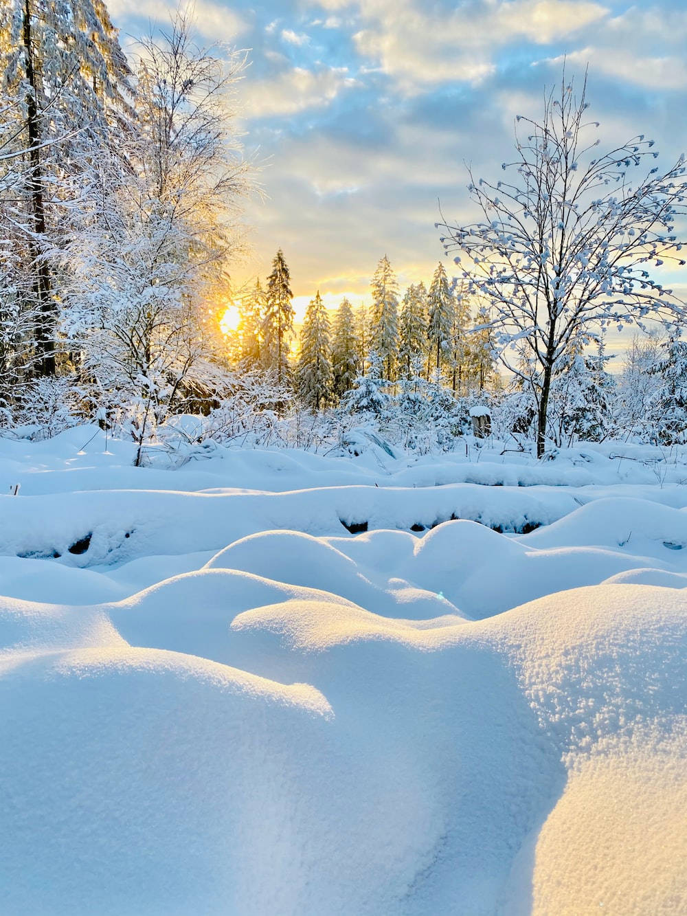 Talvinen auringonnousun tunnelma Taustakuvat