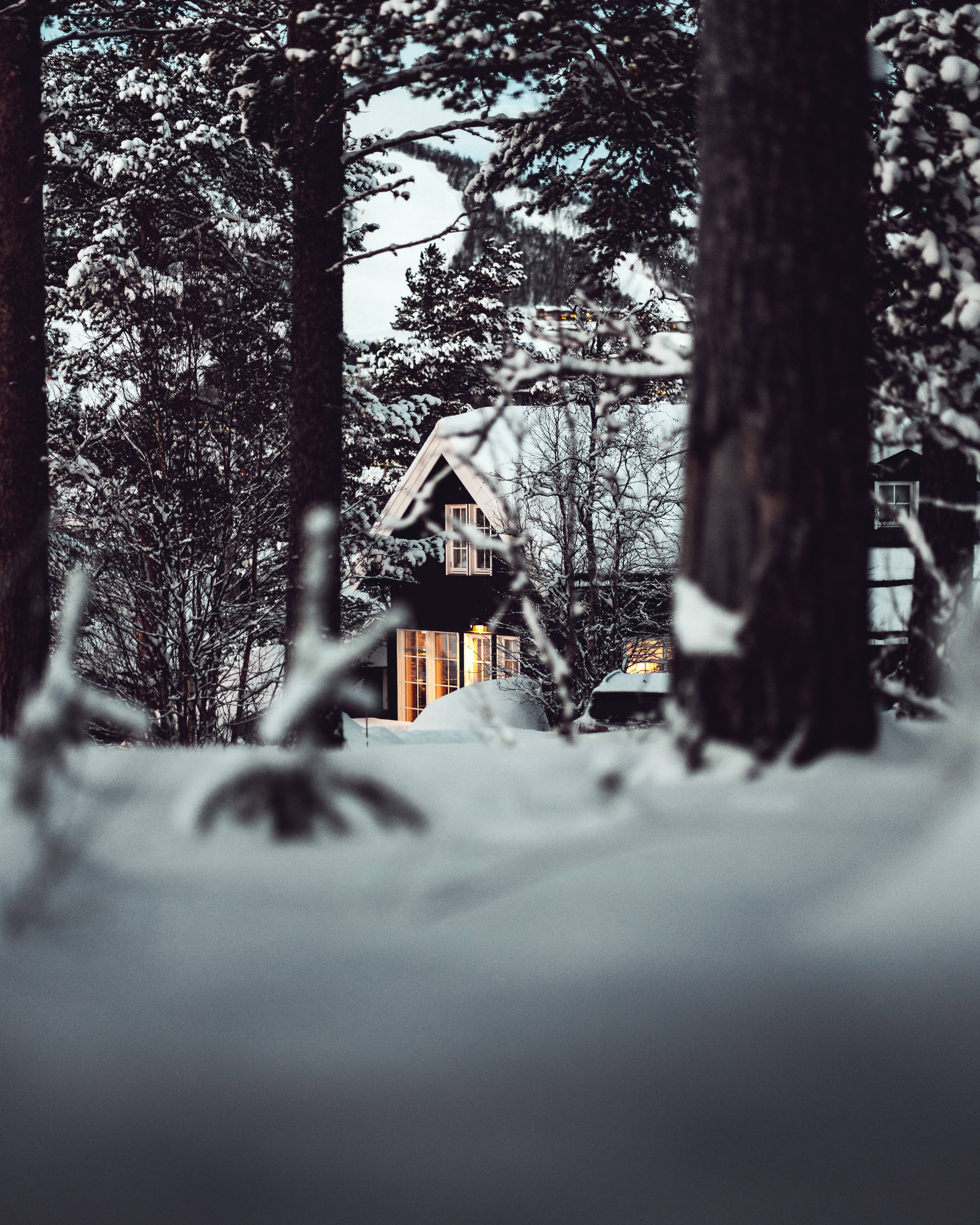 ”Talvinen ihmemaa” Taustakuvat