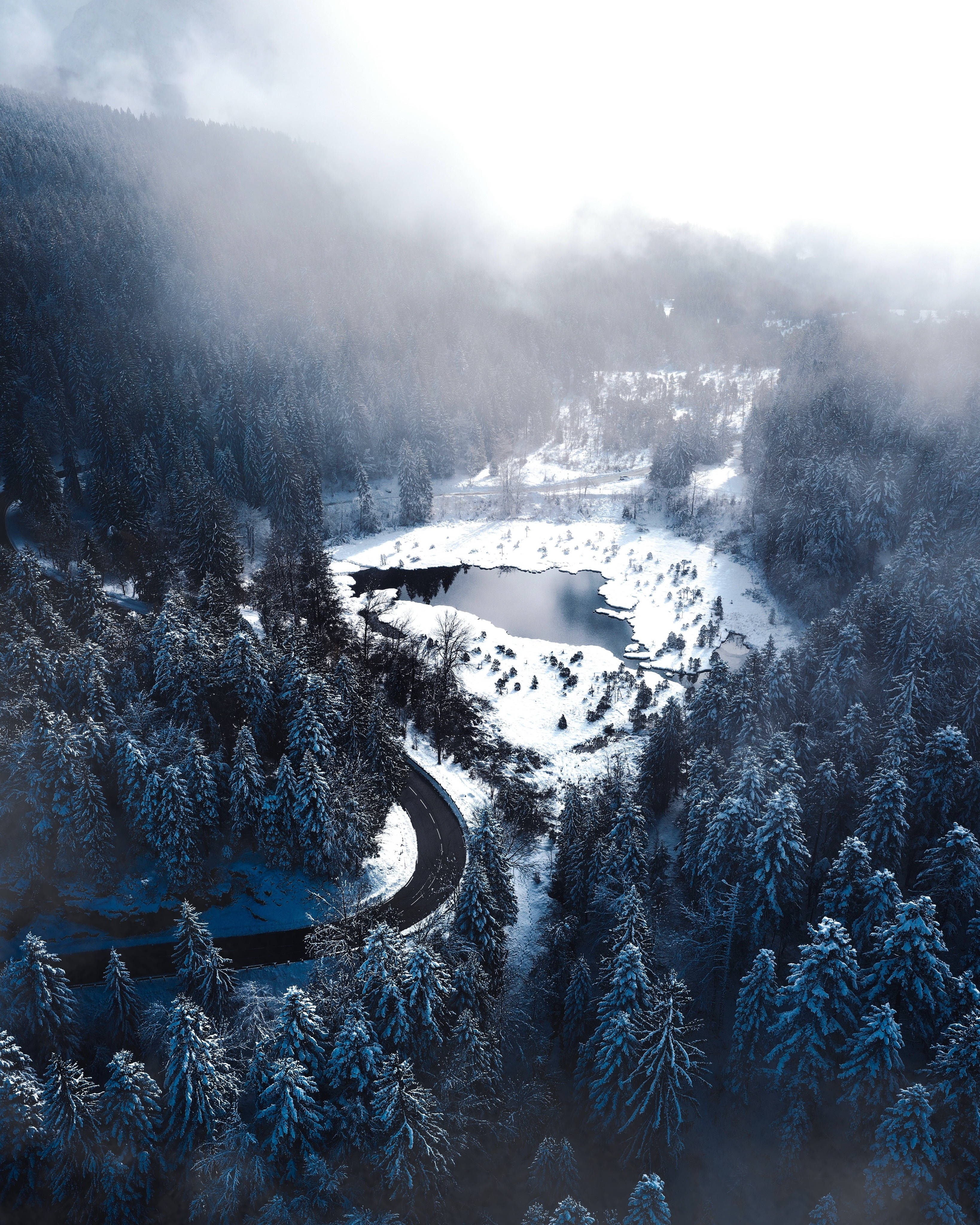 Talvinen metsä ja järvi Taustakuvat