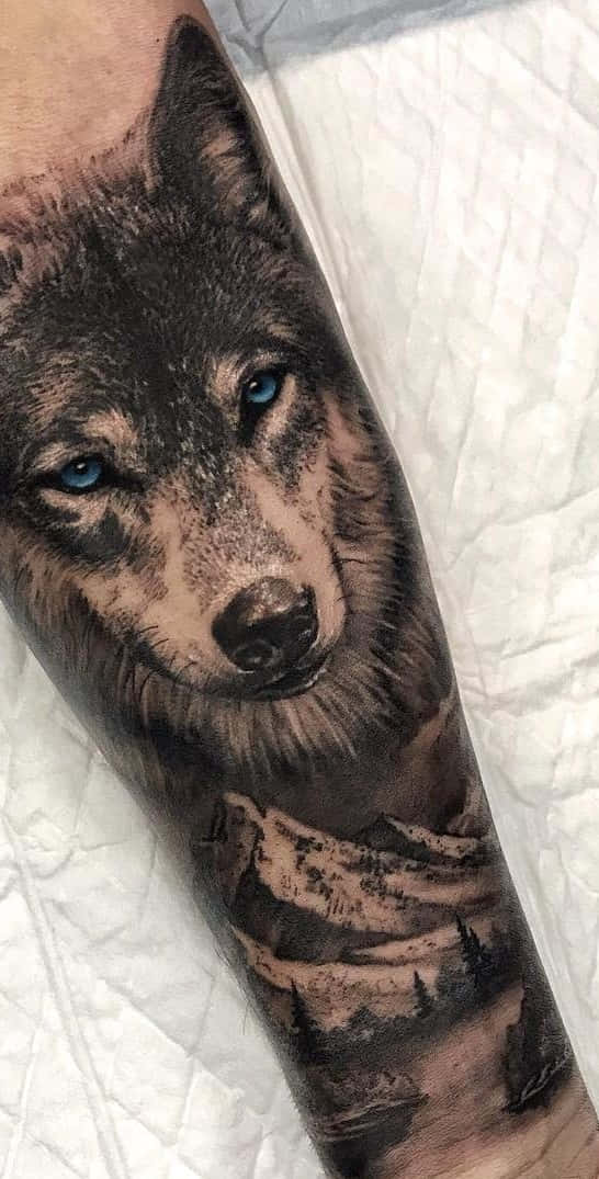 Tatuointi susi vuoret kyynärvarressa kuvia Taustakuvat