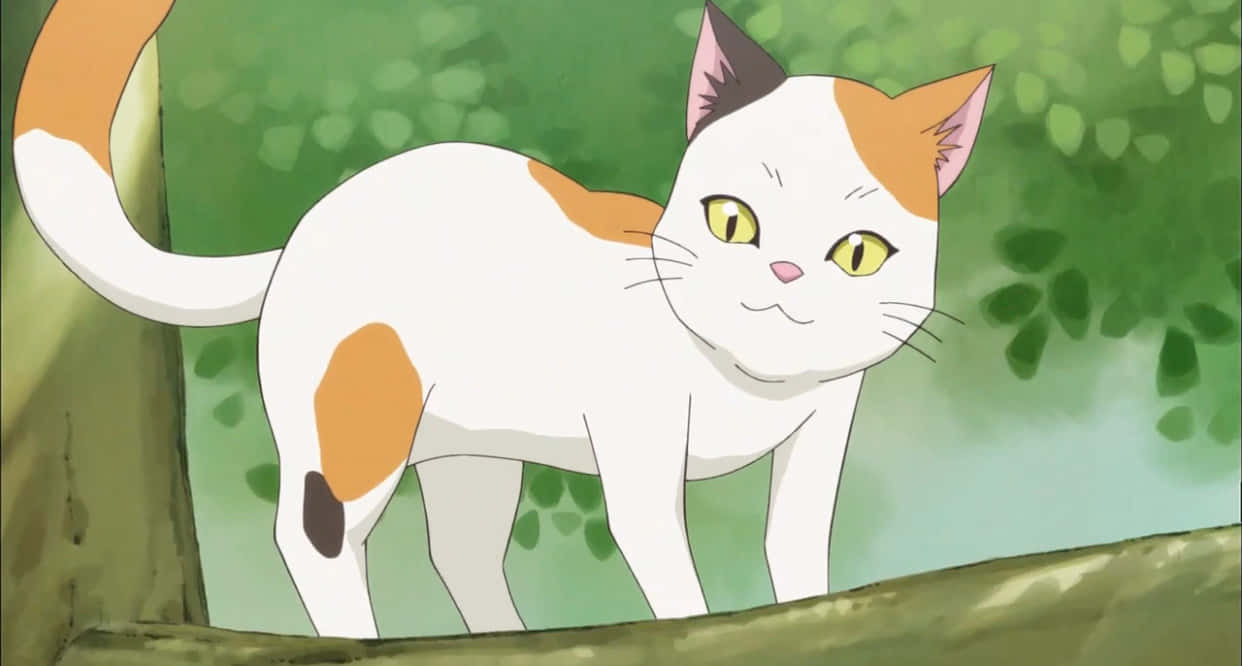 Täydellinen animekissa Taustakuvat