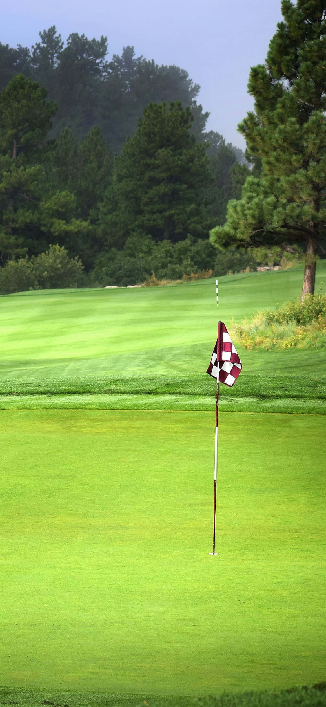 Täydellinen päivä golfkierrokselle golfkentällä Taustakuvat