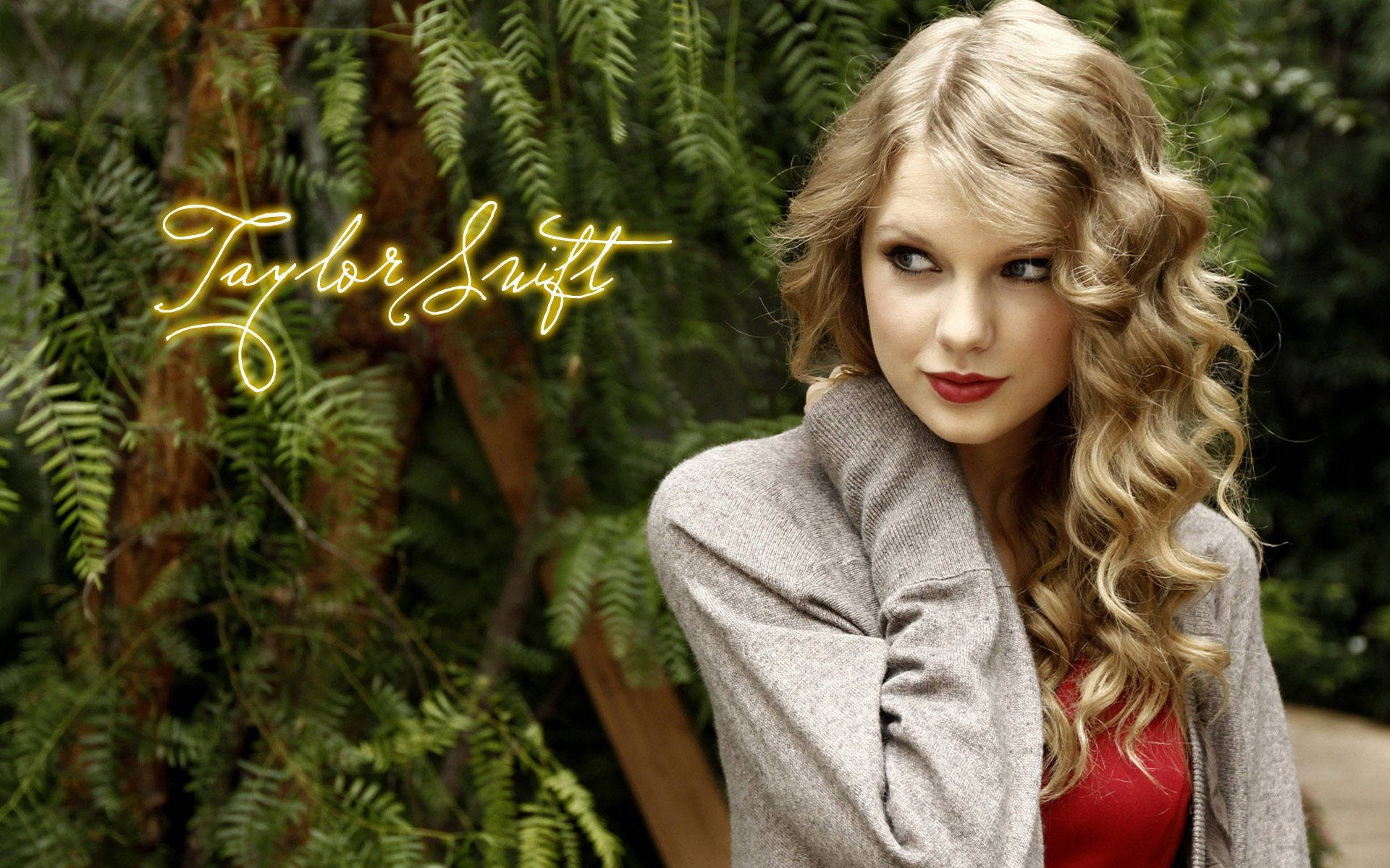 Taylor Swift livenä lavalla Taustakuvat