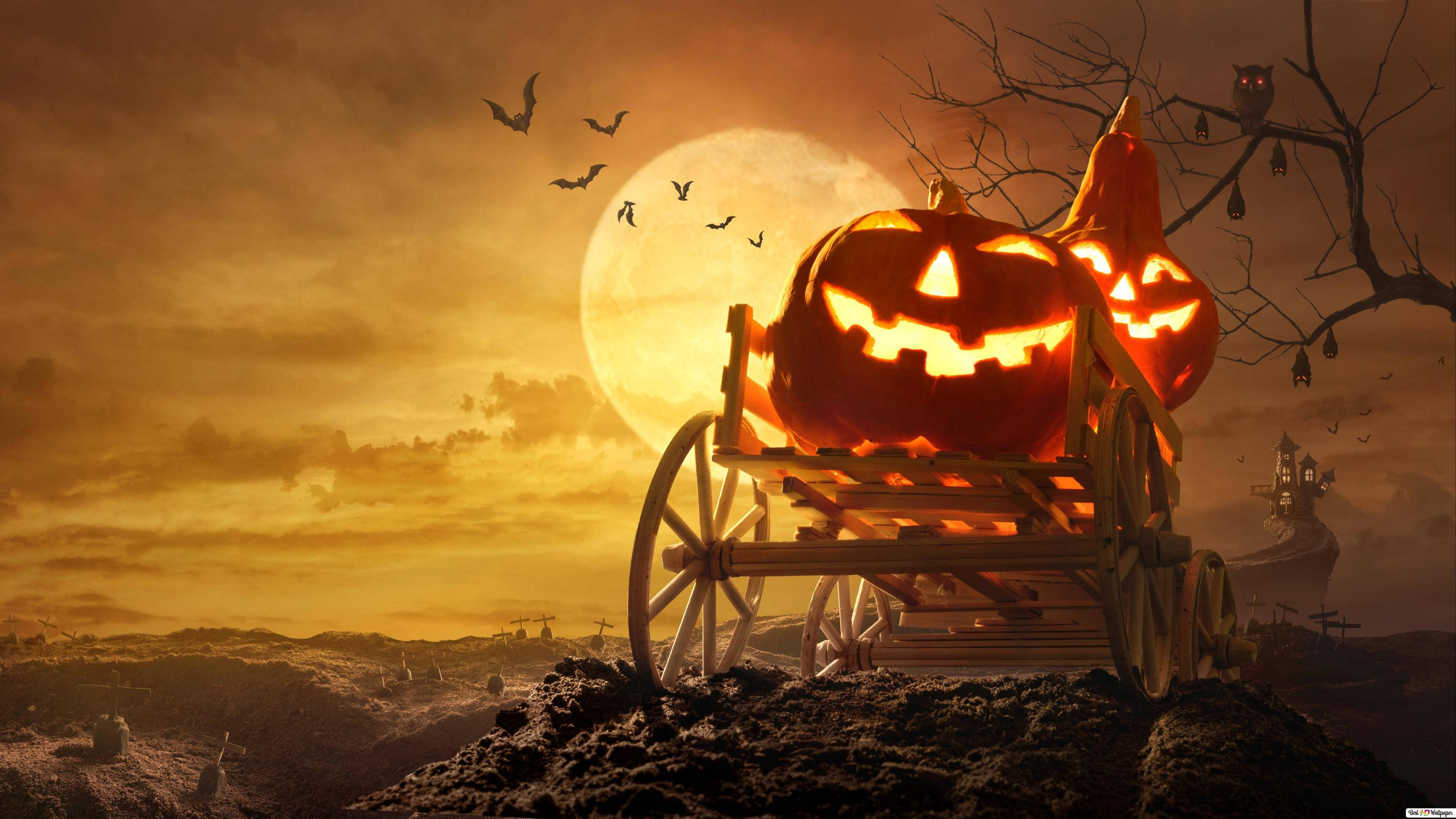 Täysikuu Kurpitsa Halloween iPhone Taustakuvat