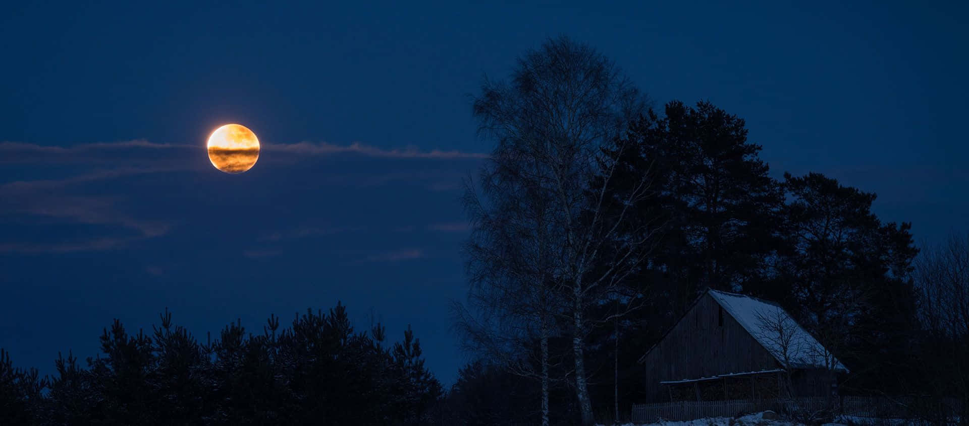 täysikuu nousee talon ja puiden yläpuolella Taustakuvat