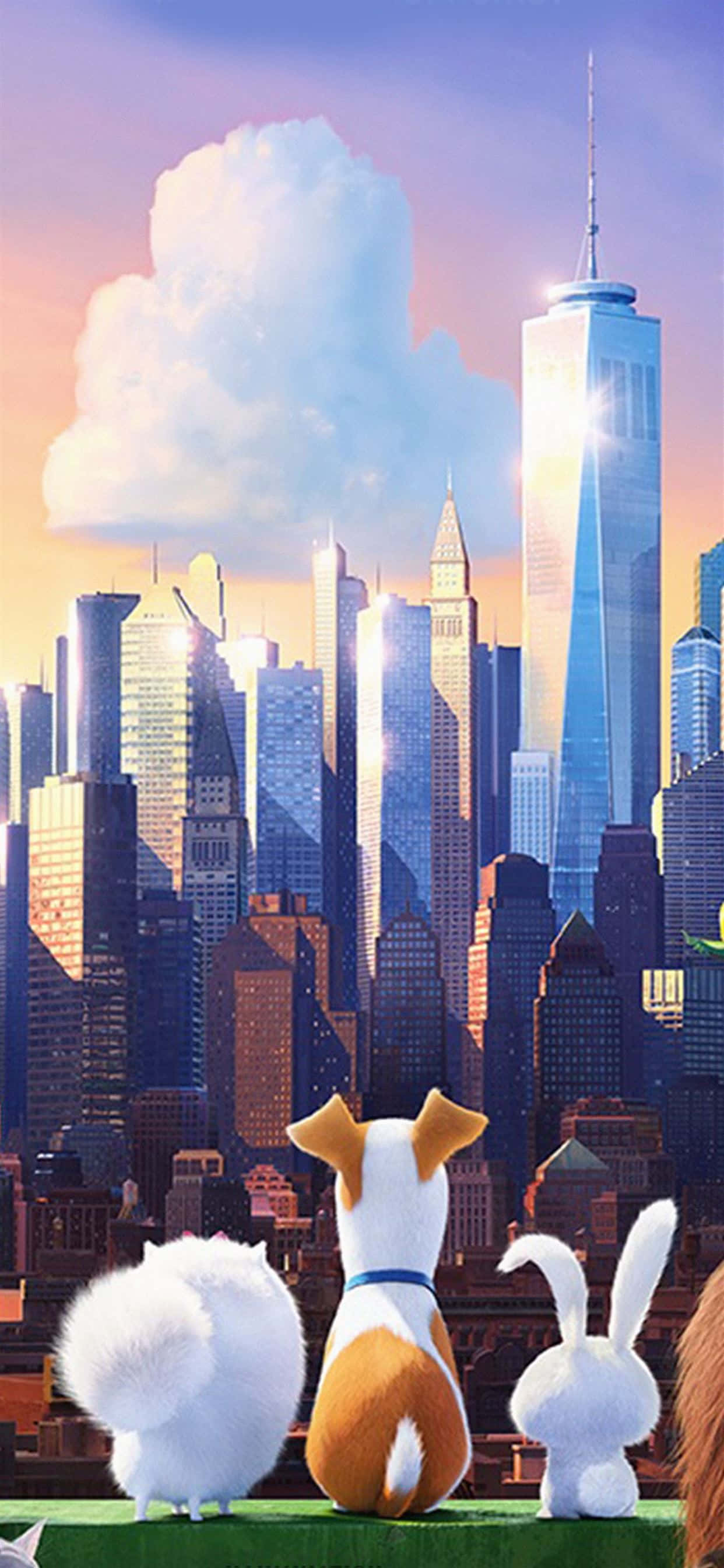 The Secret Life Of Pets 2 Kaupunkinäkymä Taustakuvat