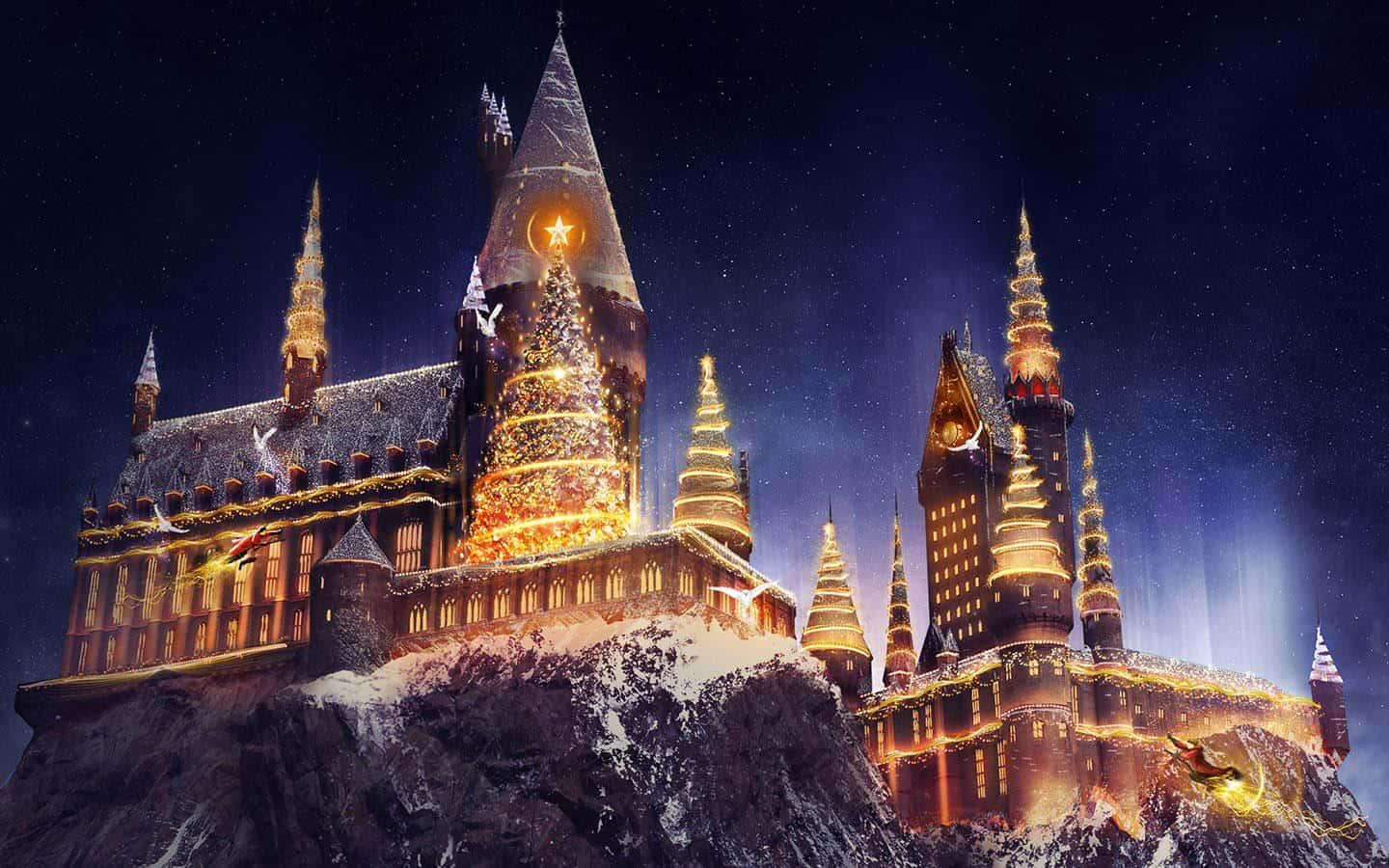 The Wizarding World Of Harry Potter - Joulun teemapuisto Taustakuvat