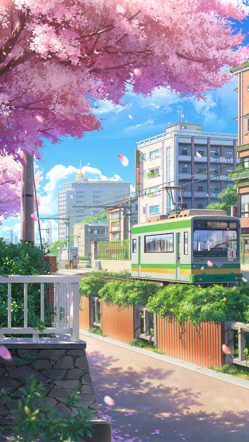 Tokion animekaupunki kirsikankukkien kanssa Taustakuvat