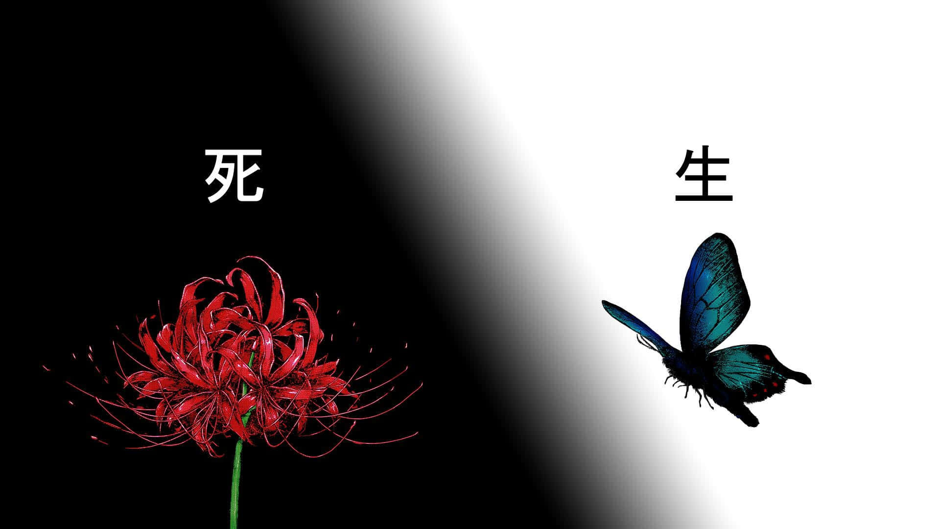 Tokyo Ghoul Kukka ja Perhonen Taustakuvat