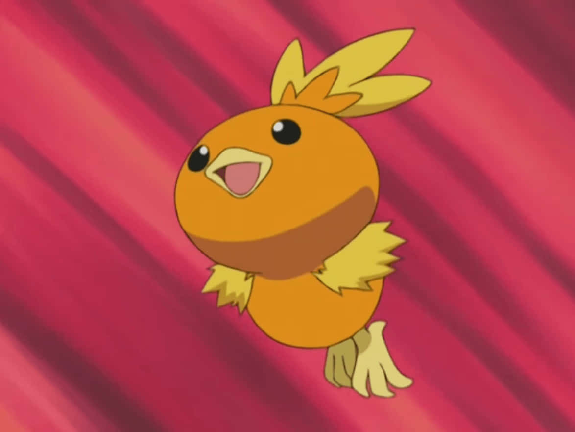Torchic hyppää punaisella taustalla Taustakuvat