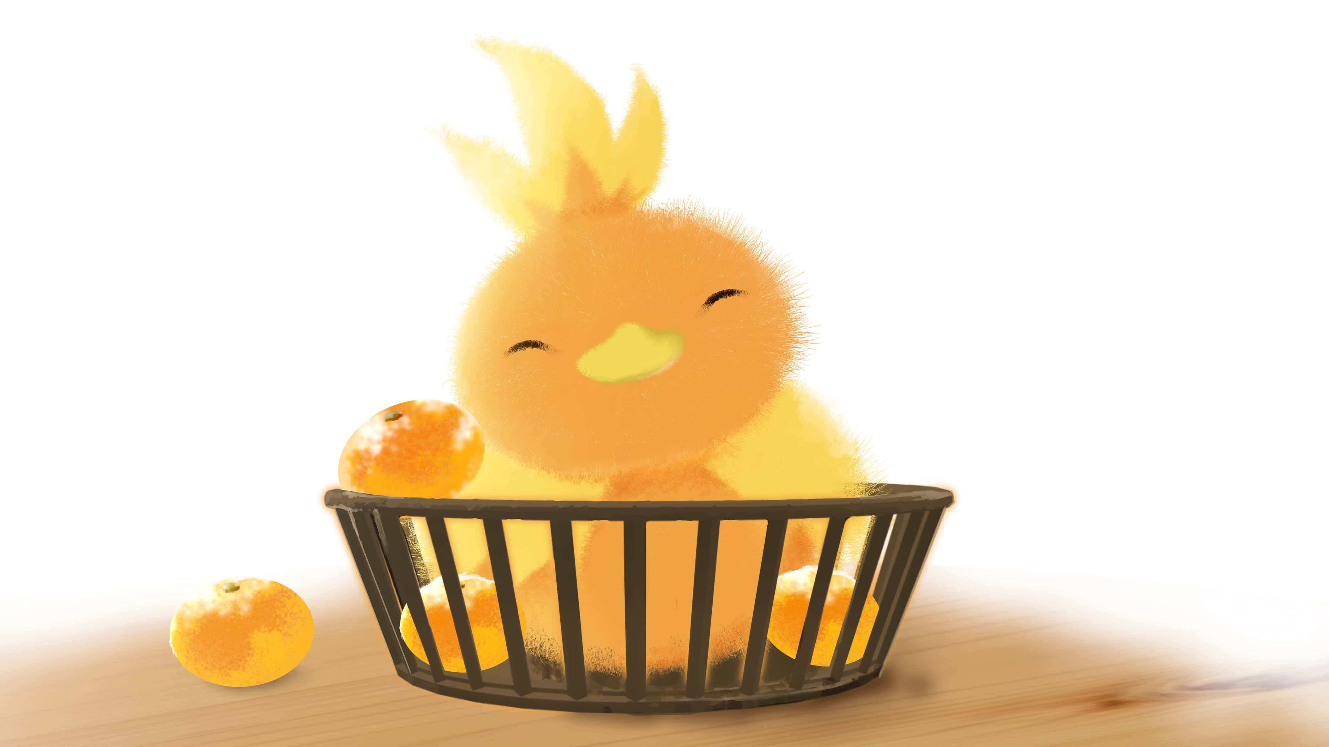 Torchic-pokemon korissa Taustakuvat