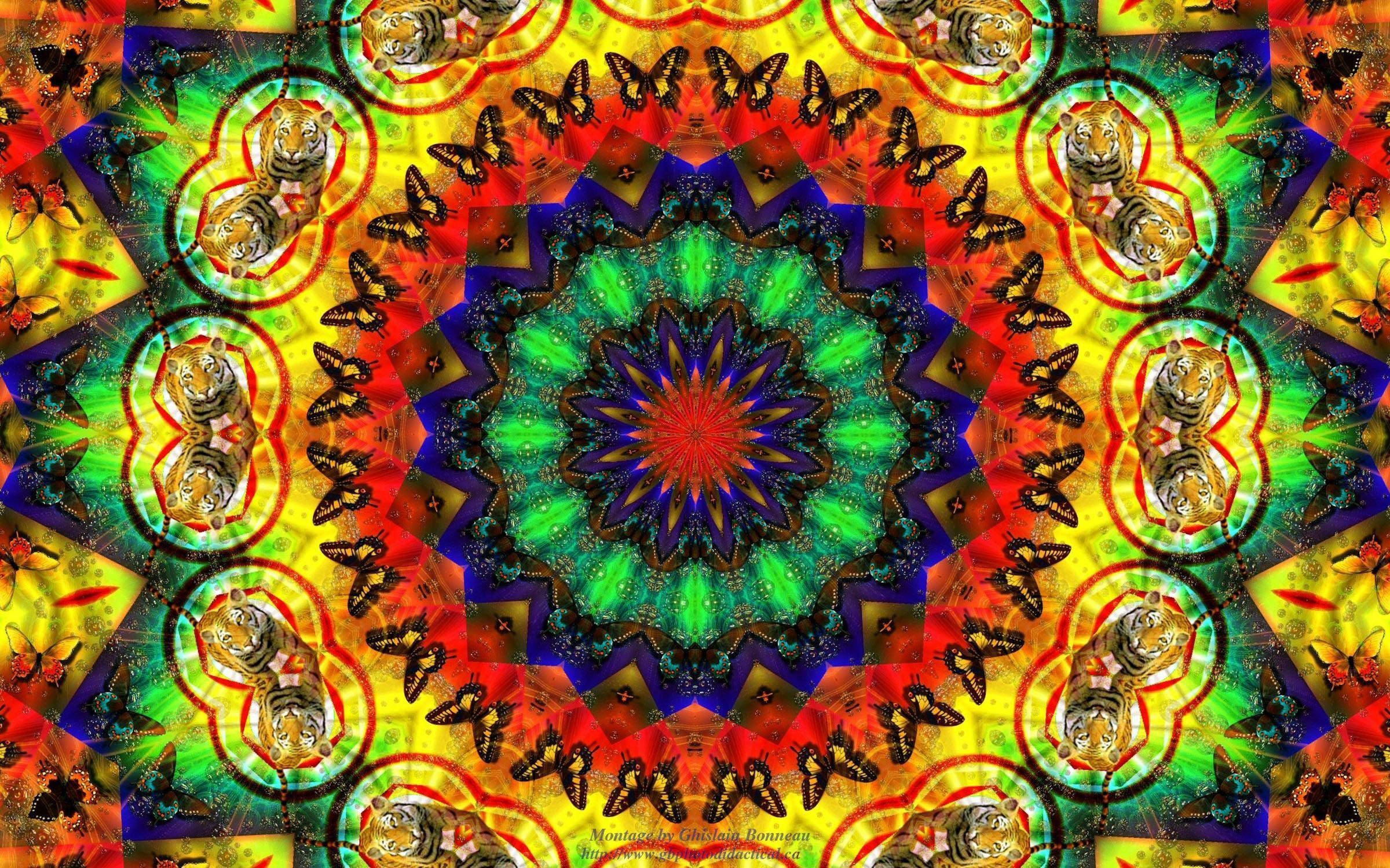 Trippy tumma esteettinen fraktaalieläin Taustakuvat