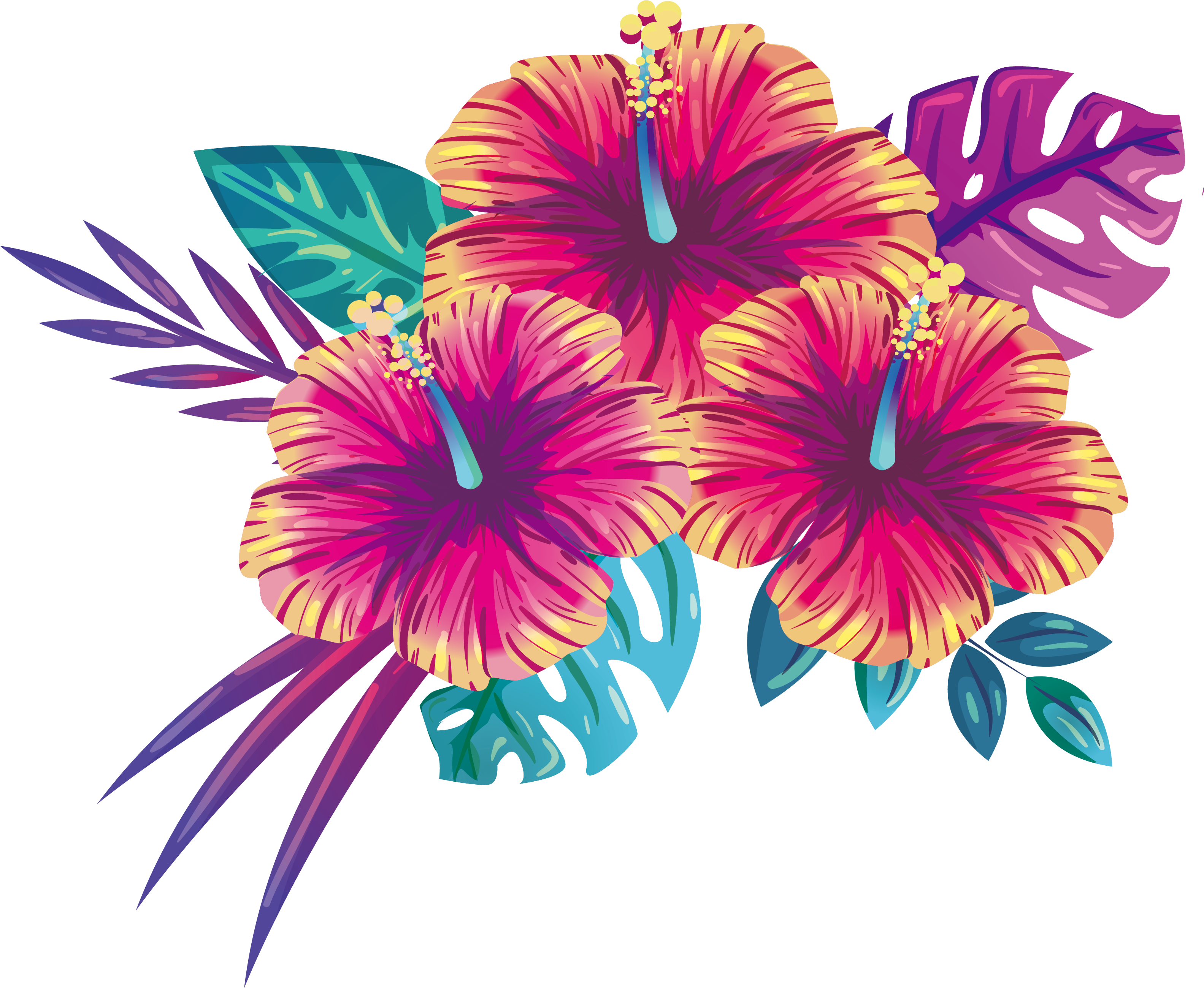 Trooppinen hibiskuskukka-illustraatio Taustakuvat