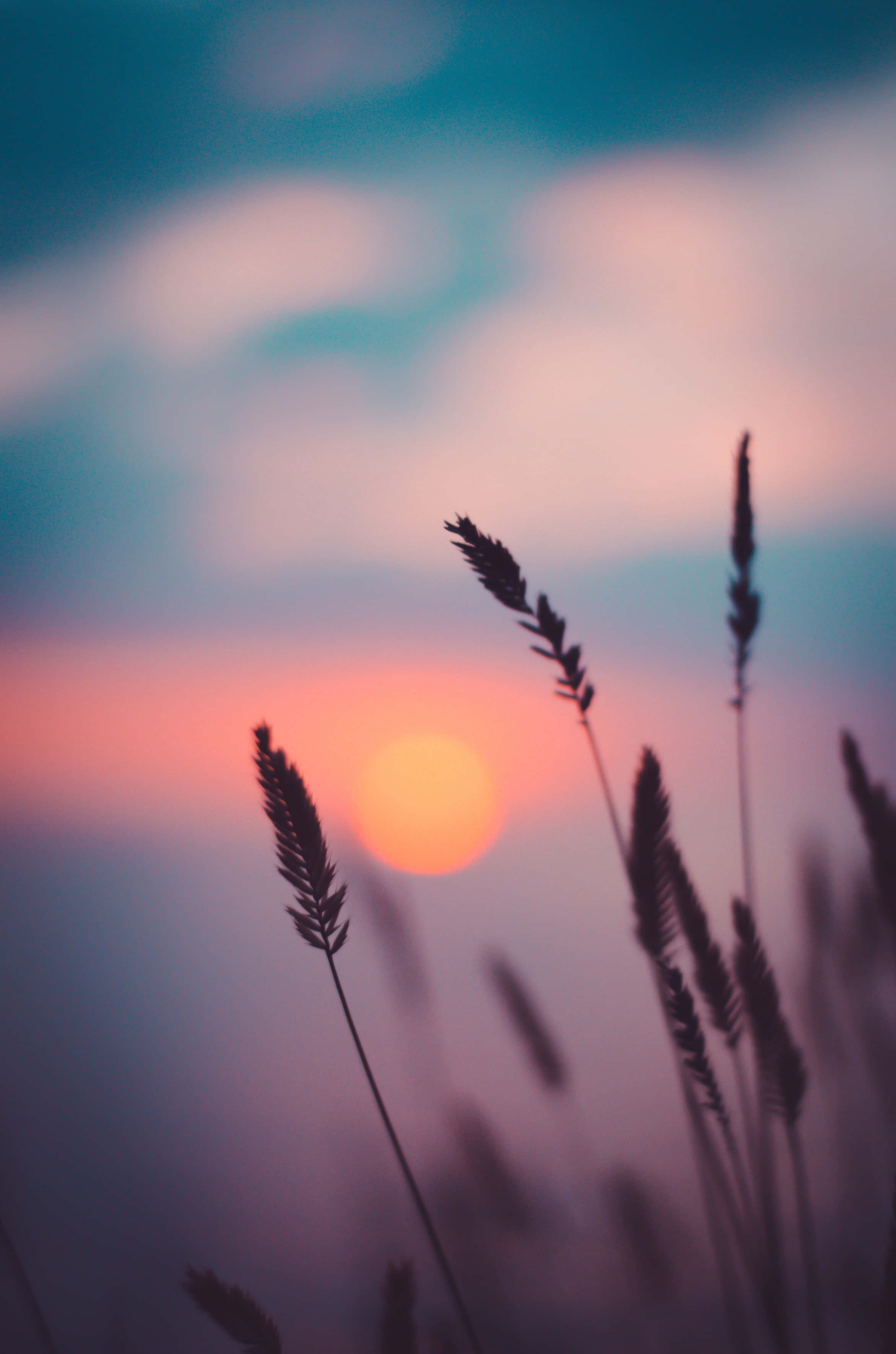 Tumma esteettinen auringonlaskutausta Taustakuvat