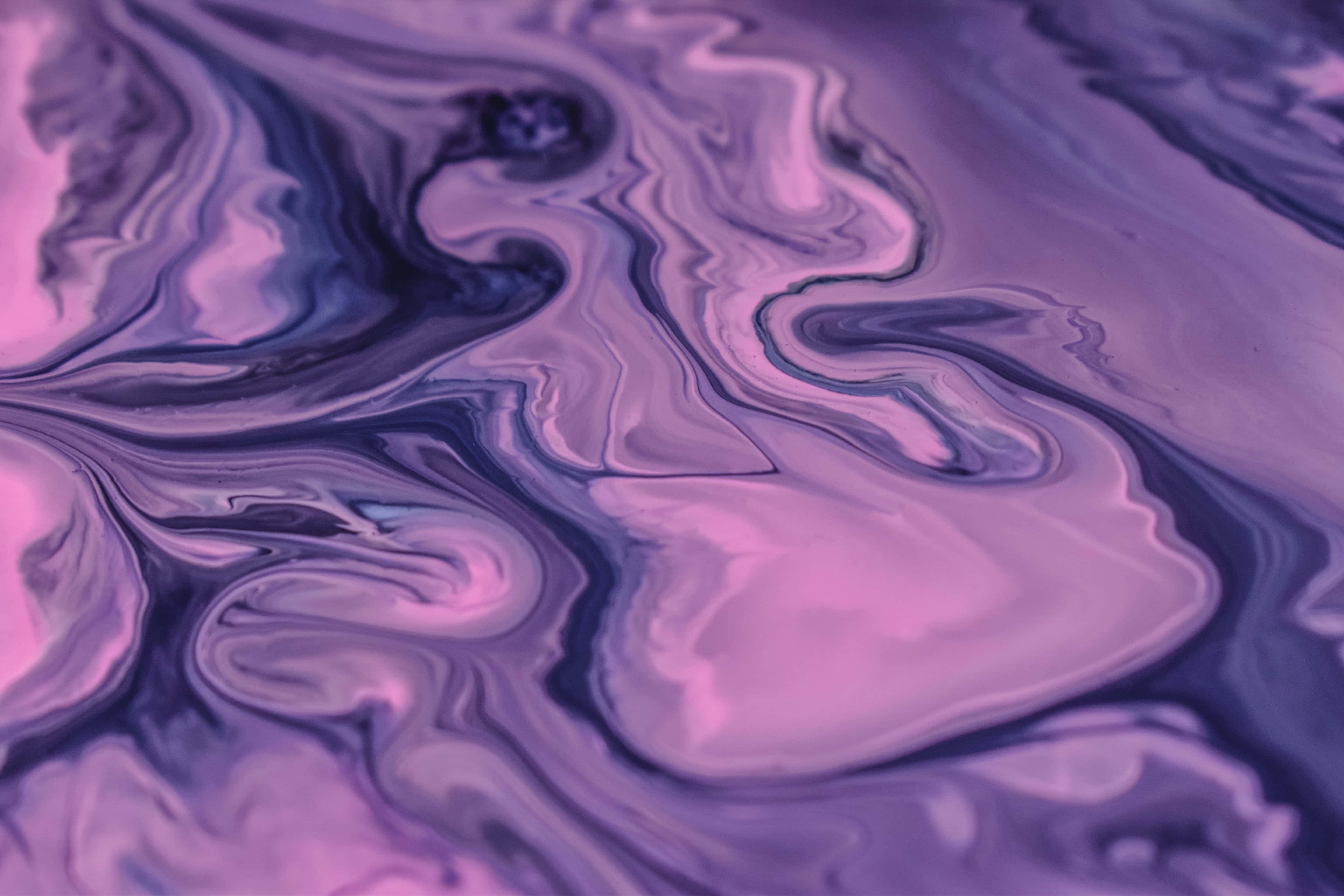 Tummanvioletti esteettiset kuvat Taustakuvat