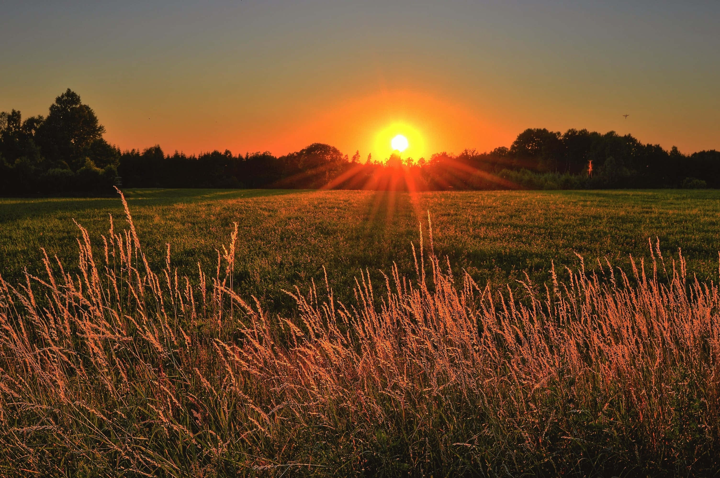 Tunne auringon lämpö ihaillessasi kaunista auringonlaskua. Taustakuvat