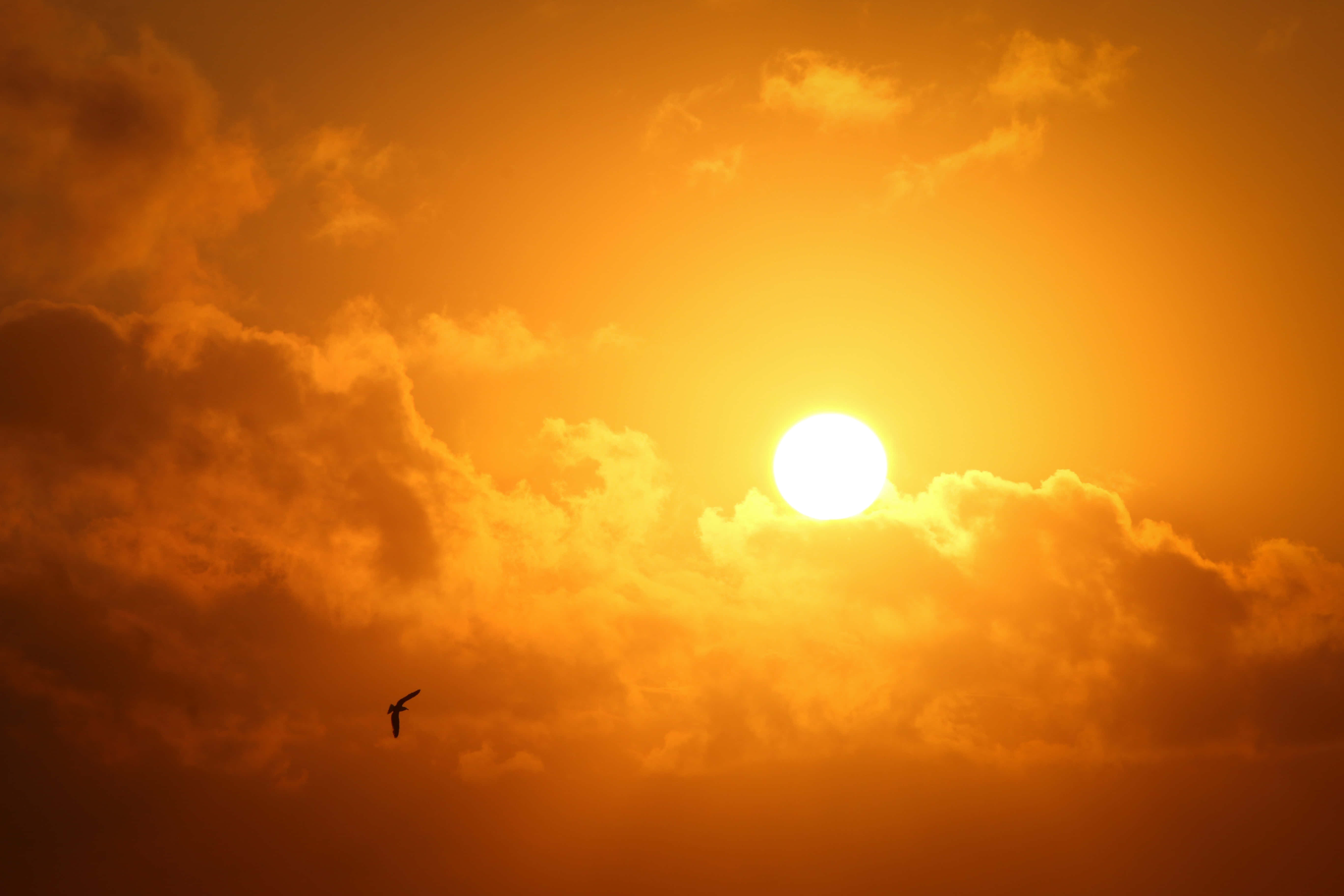 Tunne auringonlaskun rauha ja kauneus Taustakuvat