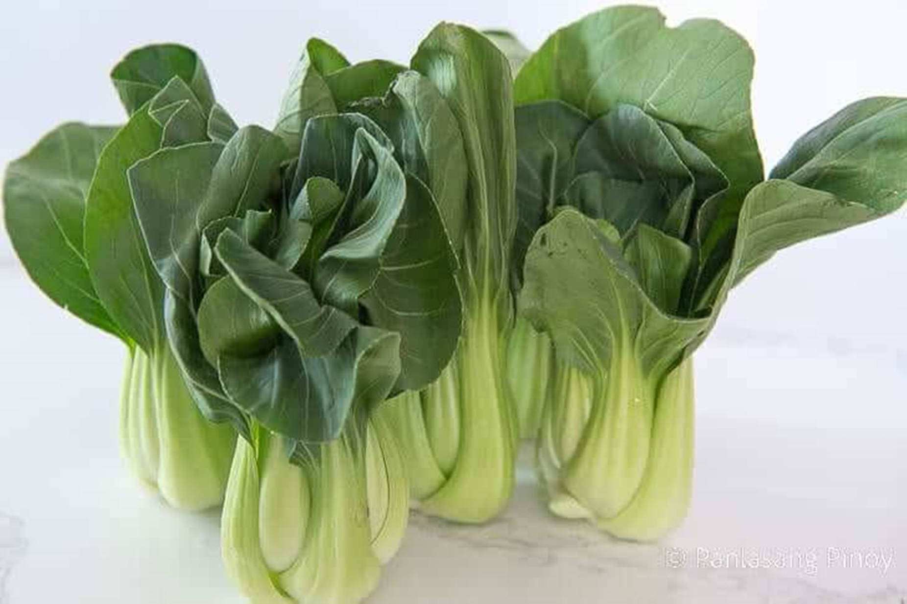 Tuore Bok Choy - Terveellinen Kiinankaali Taustakuvat